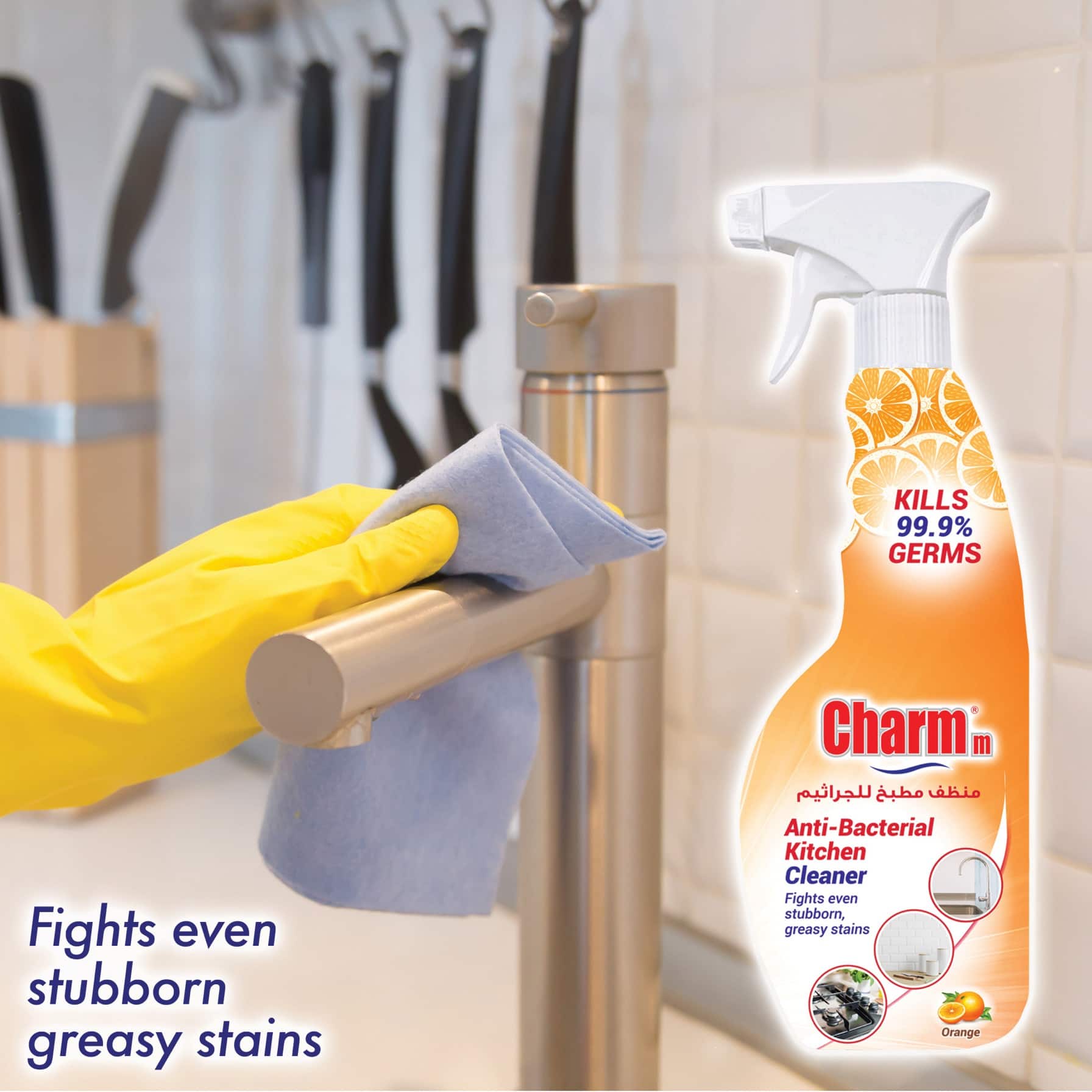 Charmm Anti-bacterial Multi-Purpose Cleaner Spray Pack (650 ml) 