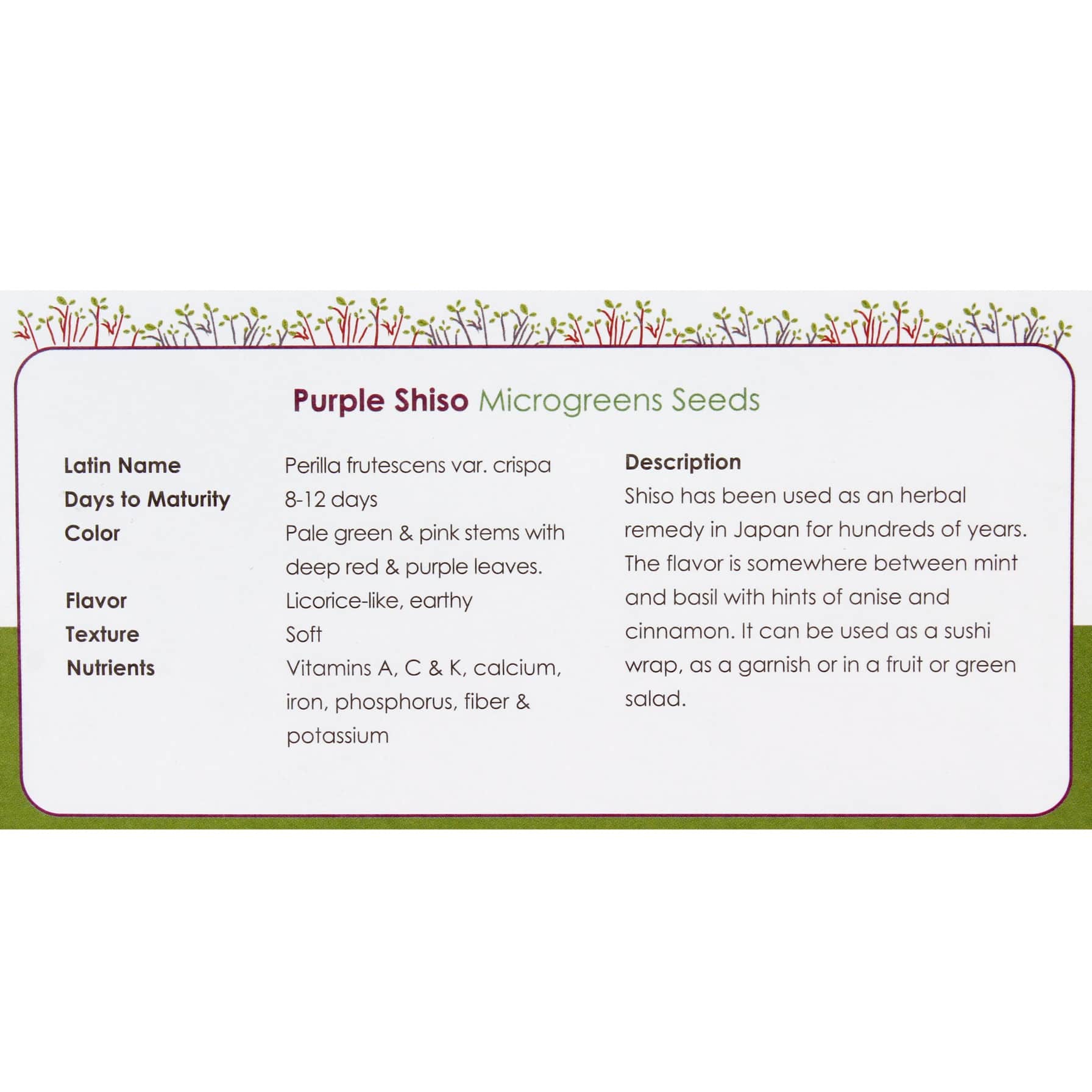 Growhub Microgreen Purple Shiso Seeds Pack 