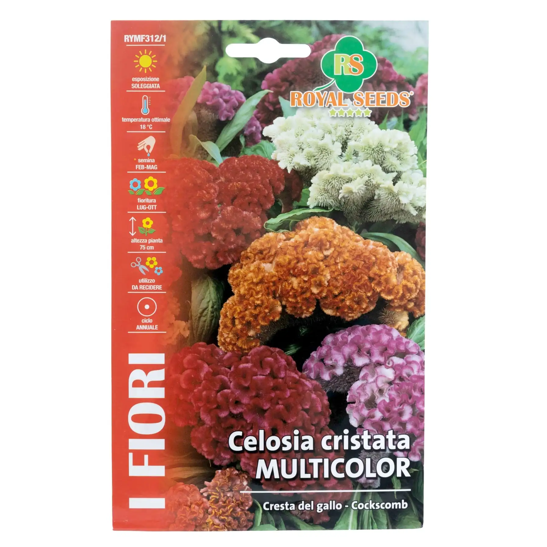 Royal Seeds Multicolor Celosia Cristata Seed Pack (1 g)