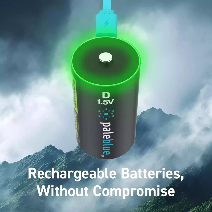 Paleblue Voyager USB-C Rechargeable Li-Ion D 2-Batteries Pack (1.5 V)
