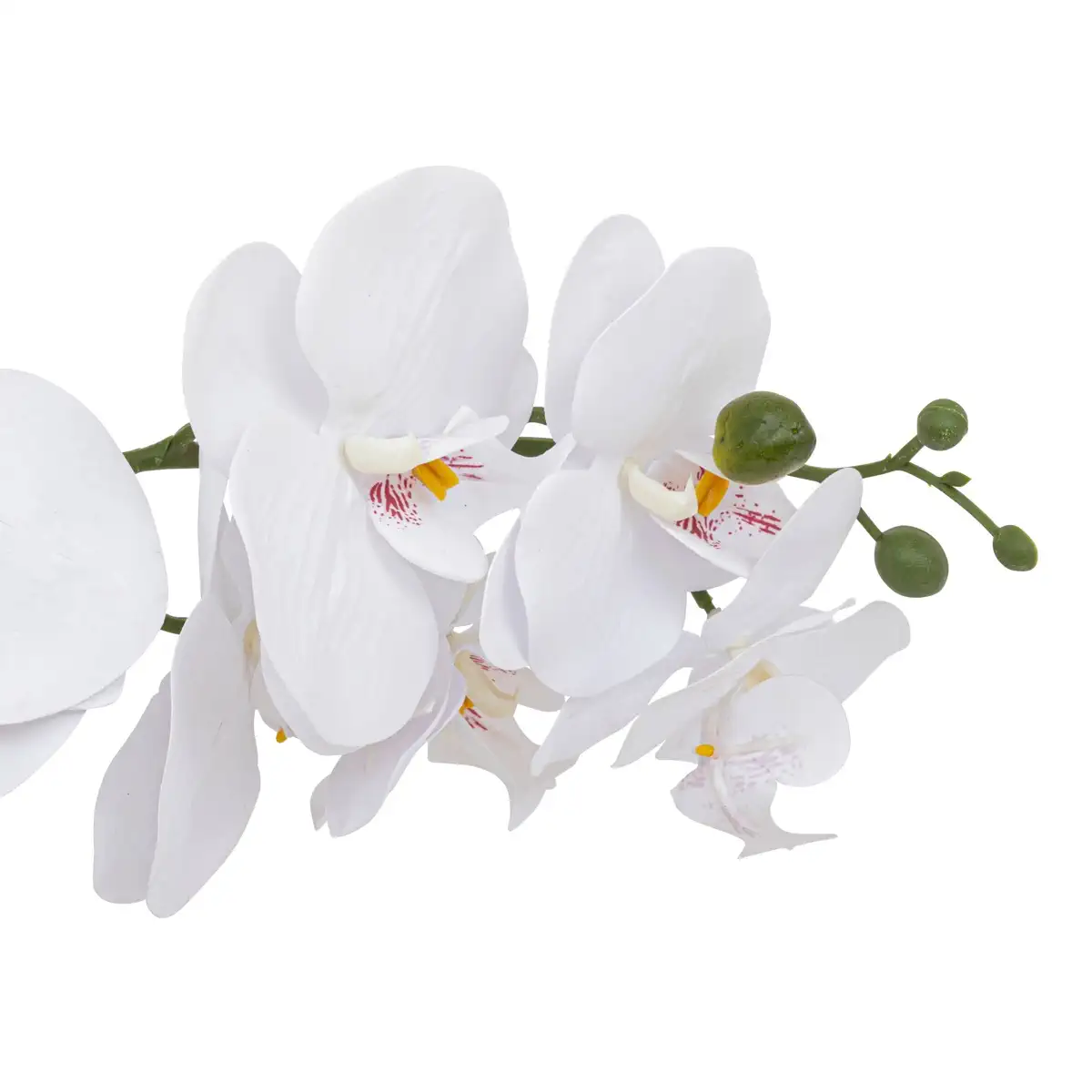 Atmosphera Clera Orchid with Ceramic Pot (H. 52 cm)