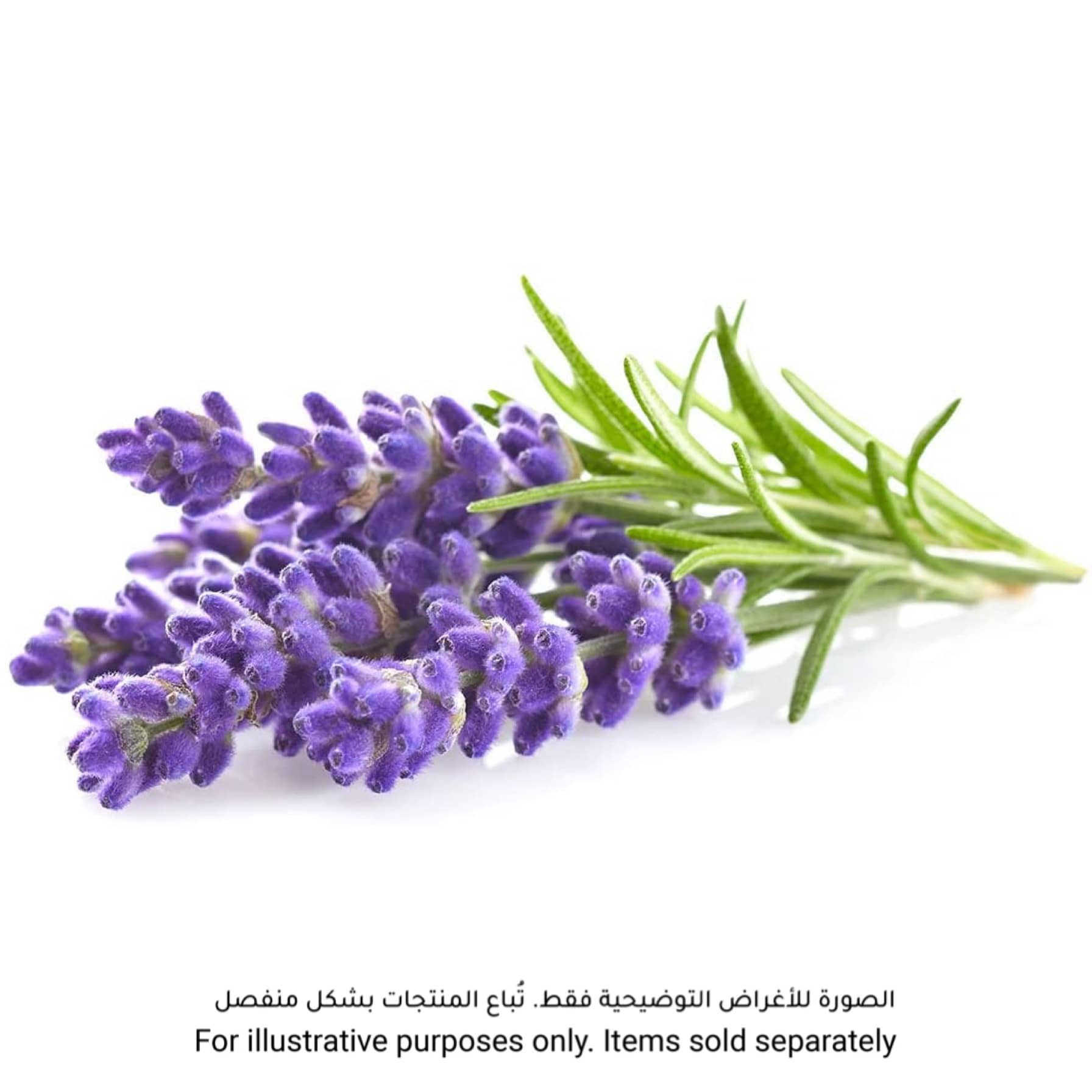 Click & Grow Lavender Plant Pod (20.5 x 8.3 x 6.8 cm)