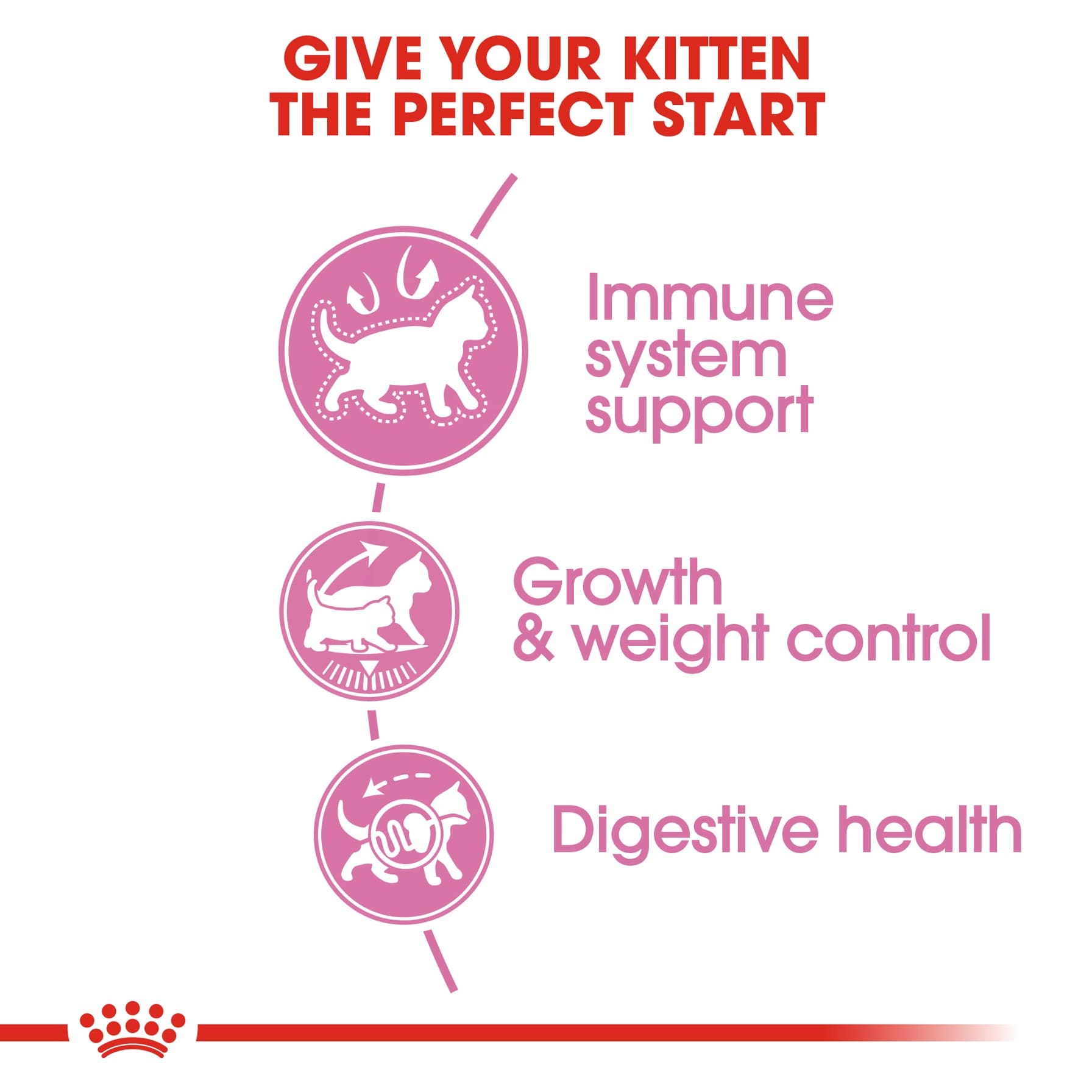 Royal Canin Feline Health Nutrition Kitten Sterilised Cat Food (2 kg)