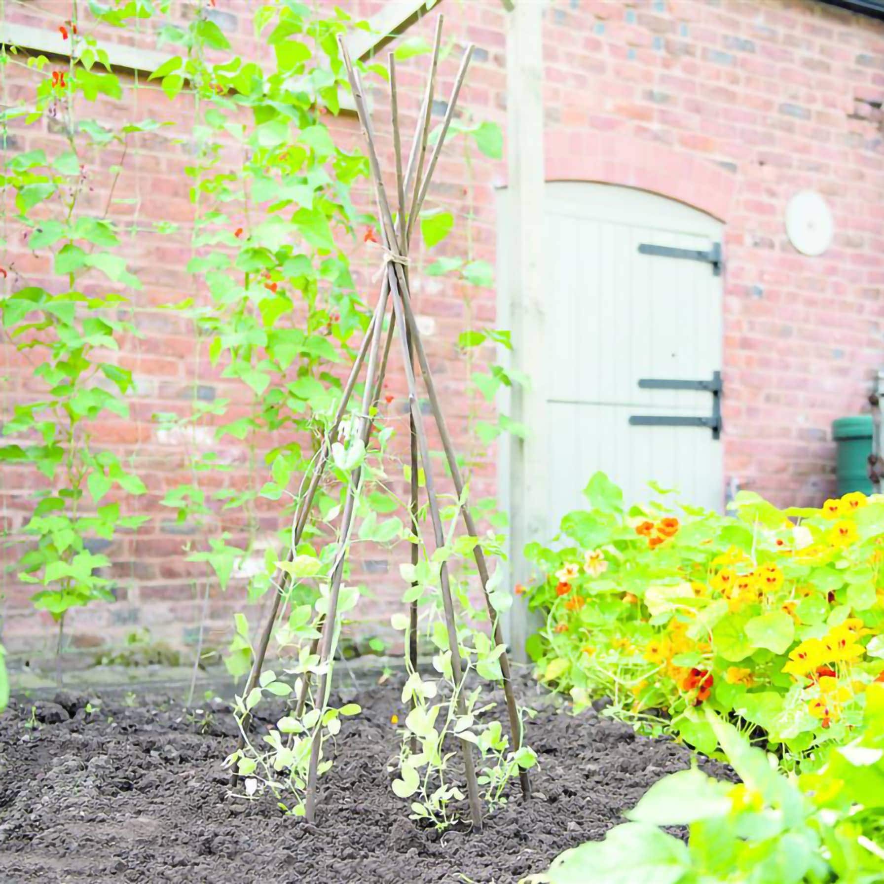 Gardman Willow Pea Sticks (1.8 m)