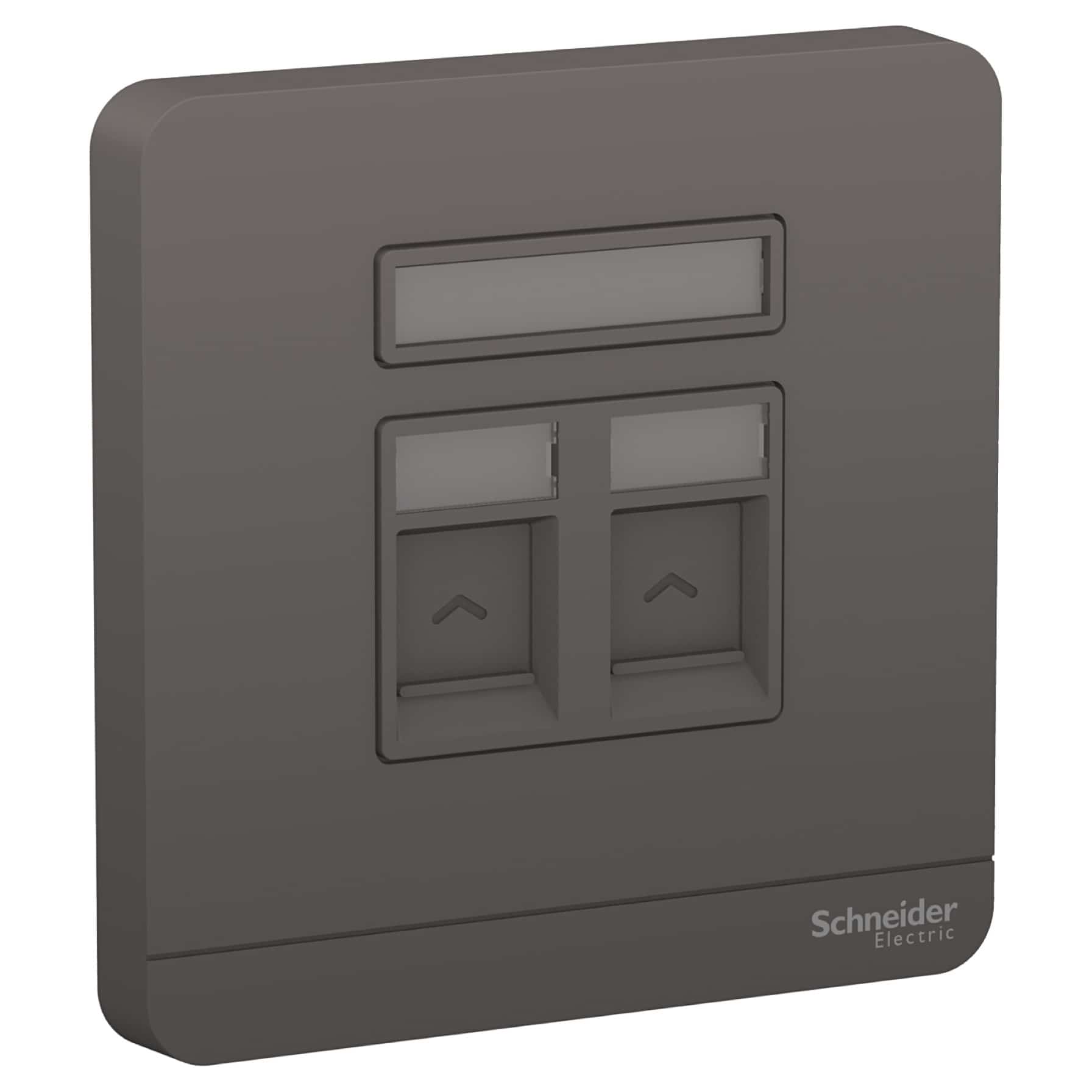Schneider Electric 2 Gang Keystone Wallplate (8.5 cm)