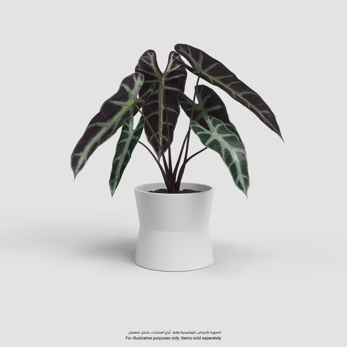 Artevasi Diana Plant Pot (White, 17 cm)