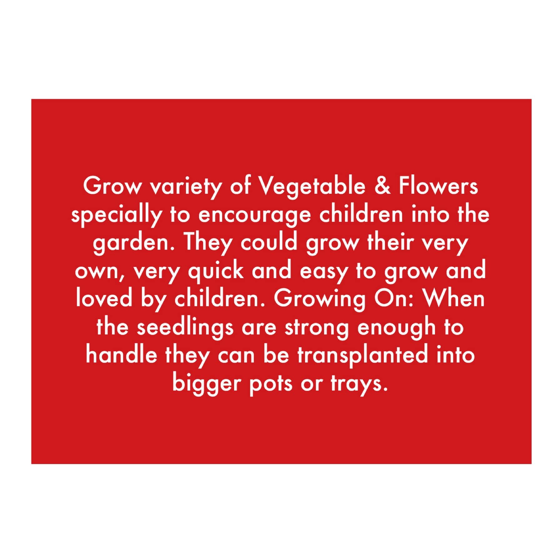 De Ree Alpine Strawberry Seeds