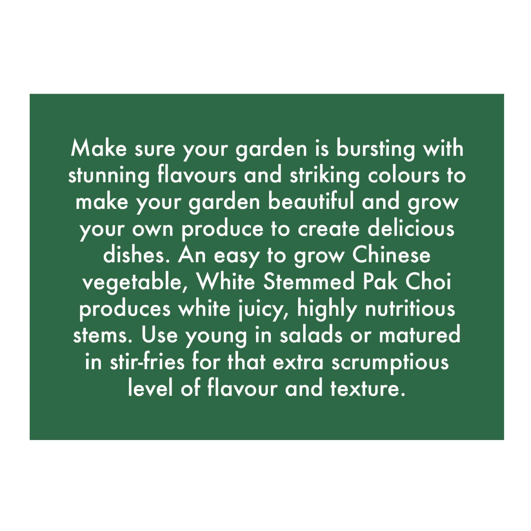 De Ree Pak Choi White Stemmed Seeds
