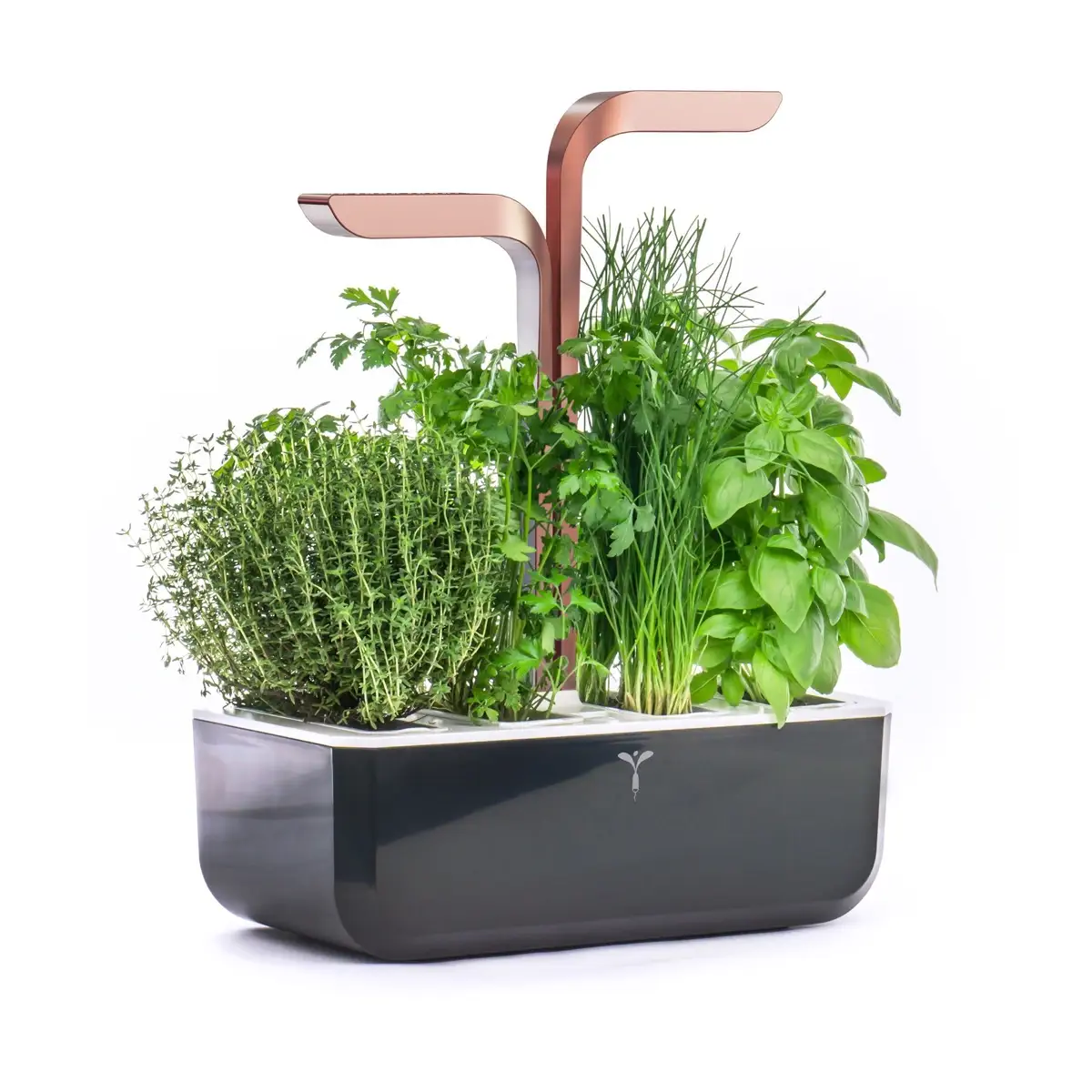 Veritable Smart Planting Kit W/ 4 Slots (Black & Copper, 1.5 Kg)