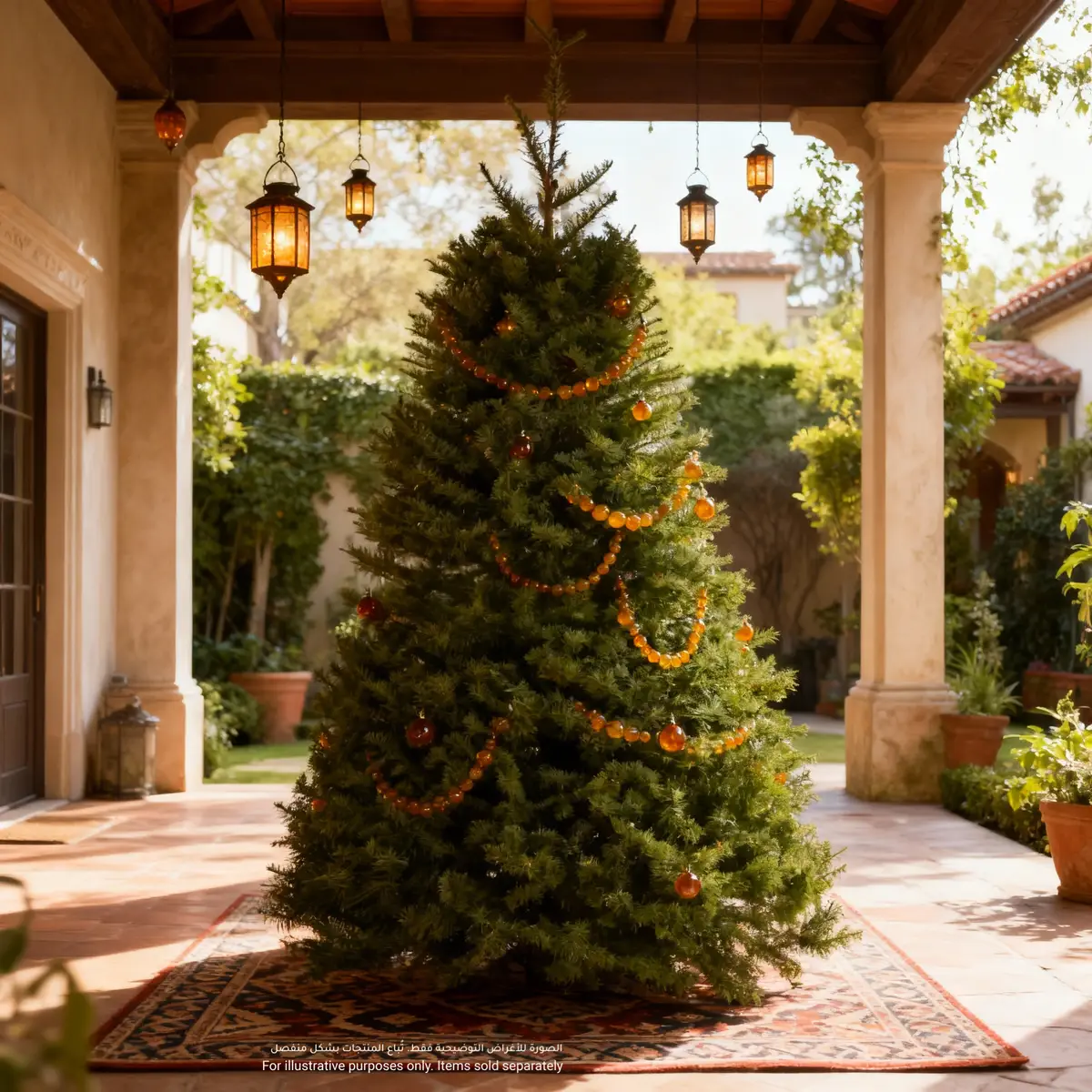Abies Nordmanniana Fresh Christmas Tree (6-7 ft)