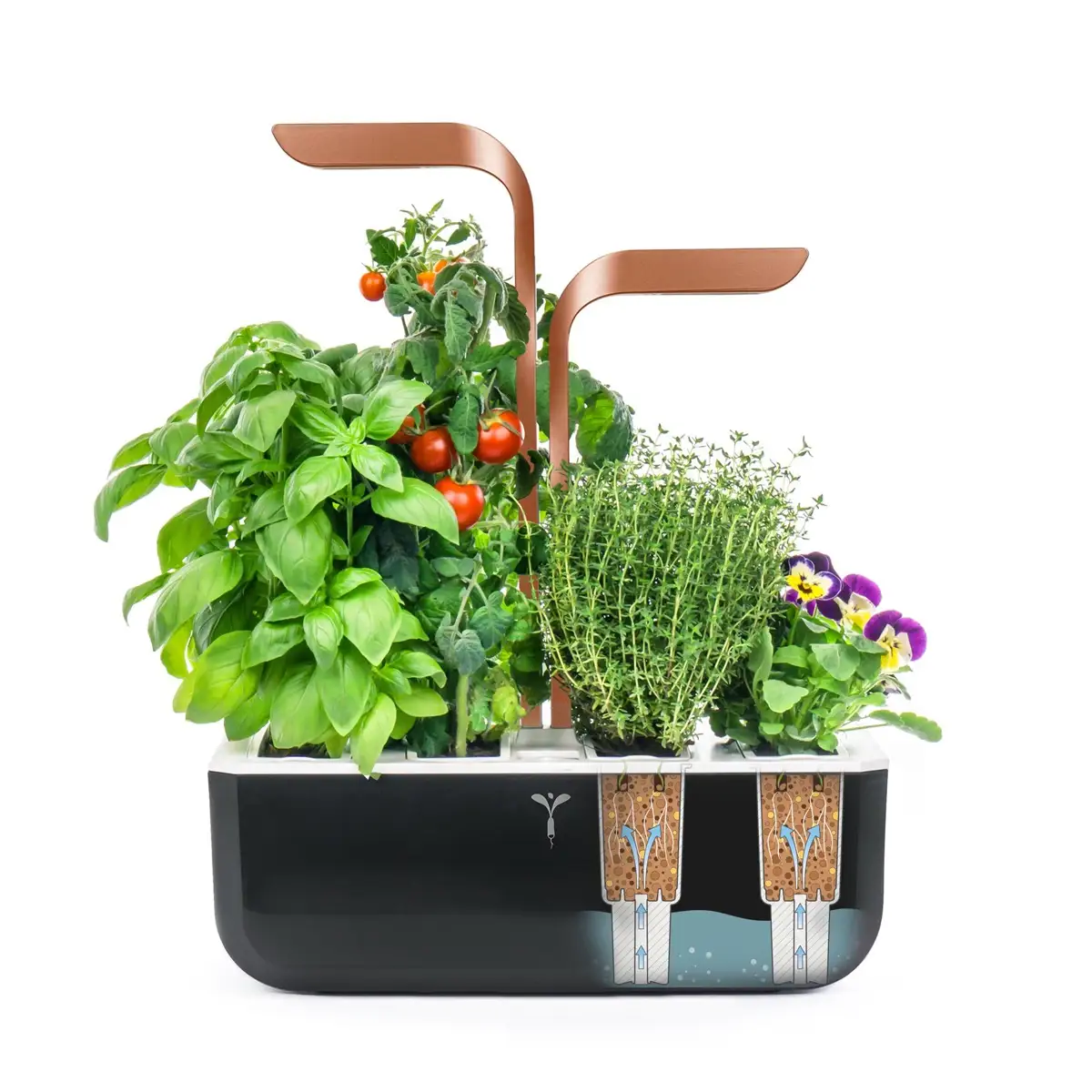 Veritable Smart Planting Kit W/ 4 Slots (Black & Copper, 1.5 Kg)