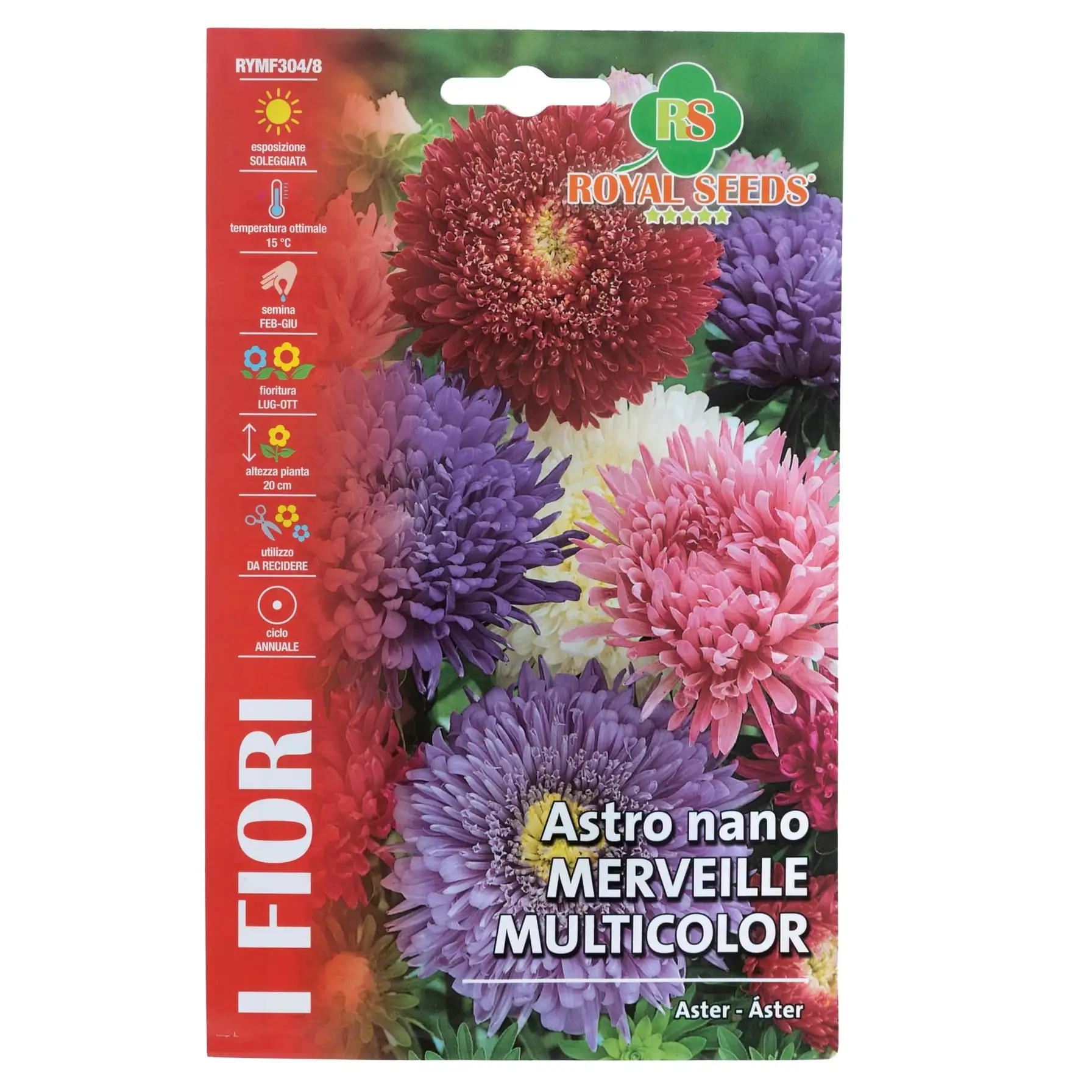 Royal Seeds Multicolor Dwarf Aster Seed Pack (1.75 g)