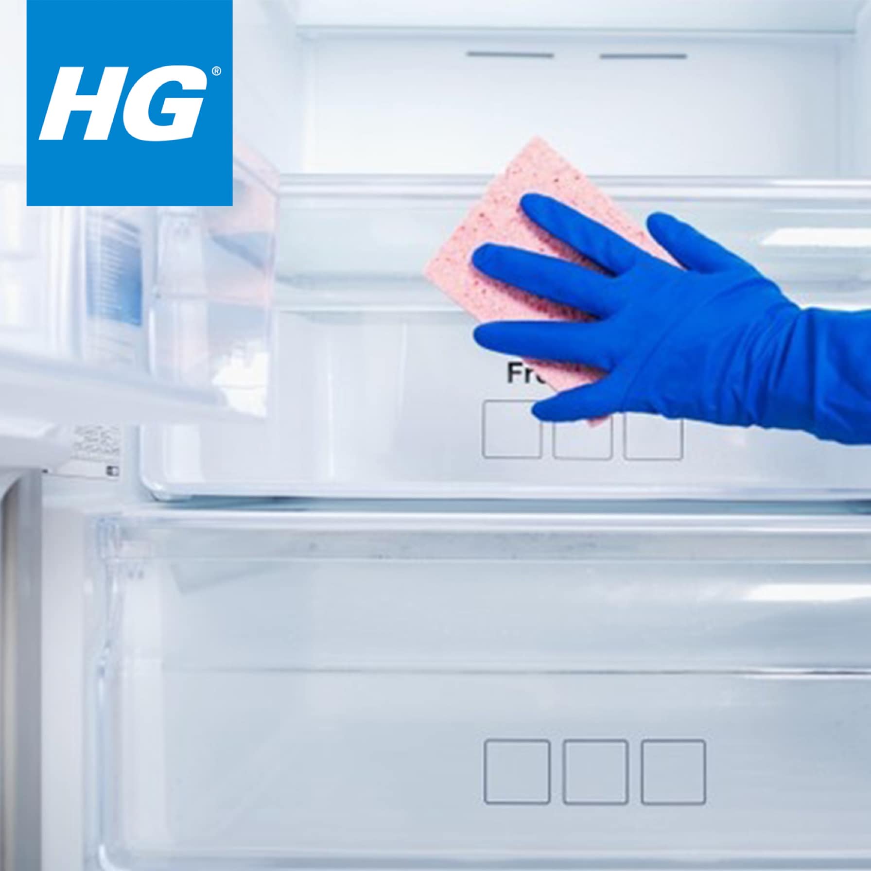 HG Hygienic Fridge Cleaner (500 ml)
