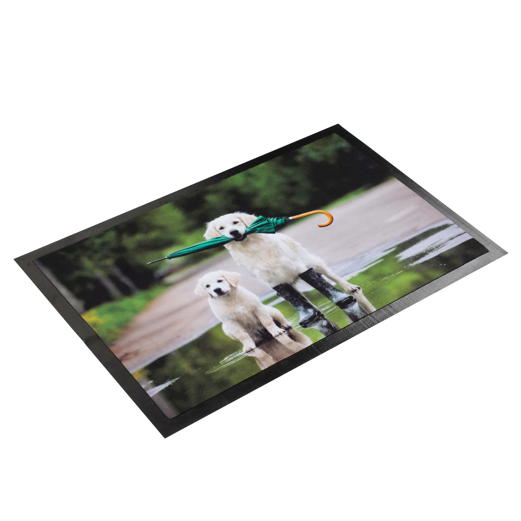 Polyester Golden Printed Doormat (40 x 60 cm)