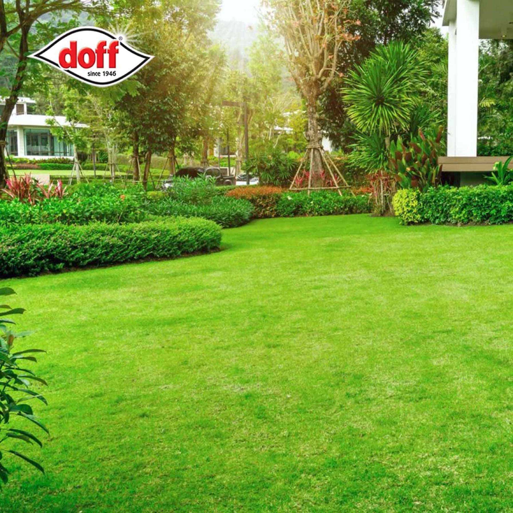Doff 4-in-1 Lawn Feed, Weed & Moss Killer (1.75 kg)