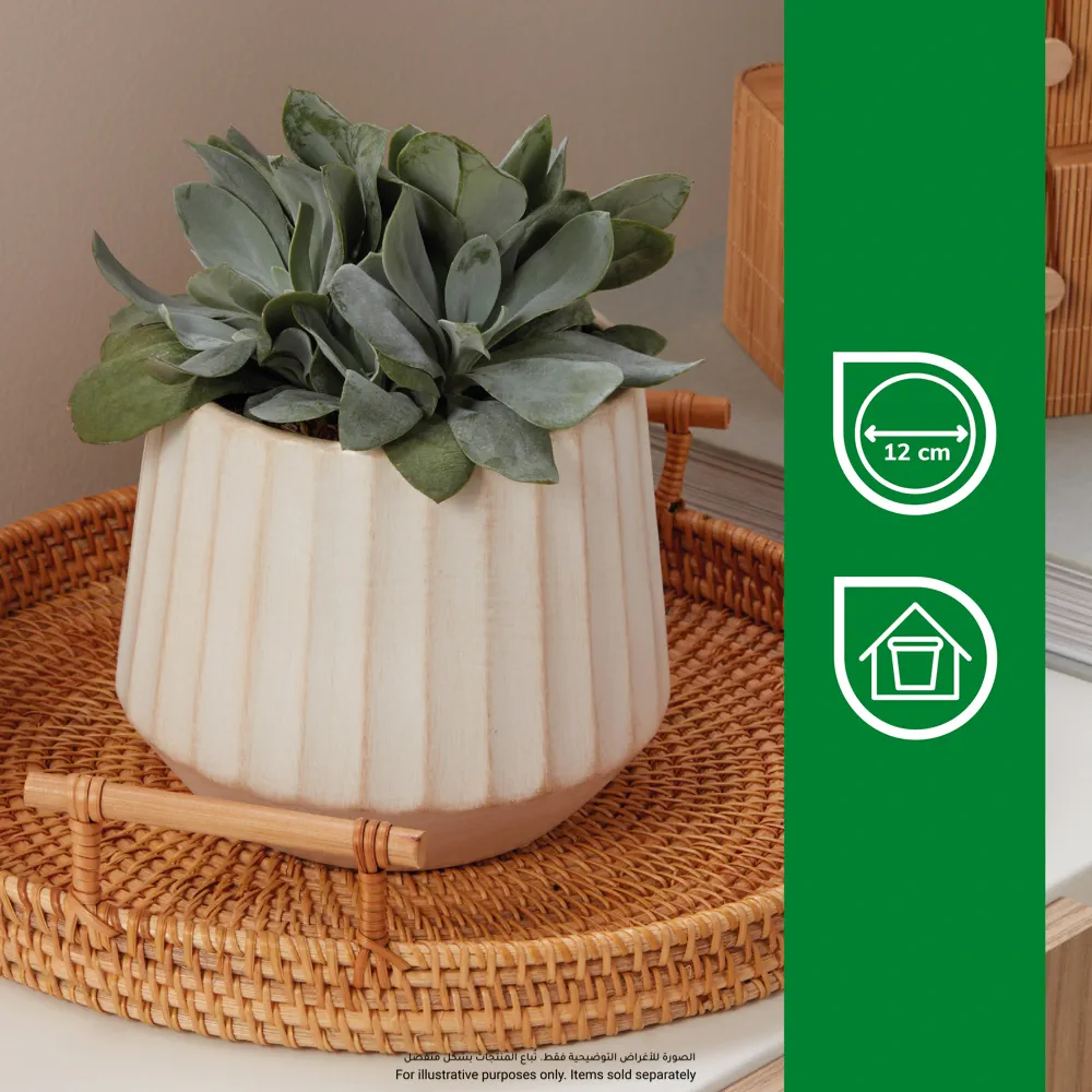 Verve Wide Rib Ceramic Pot (16 cm, Beige)