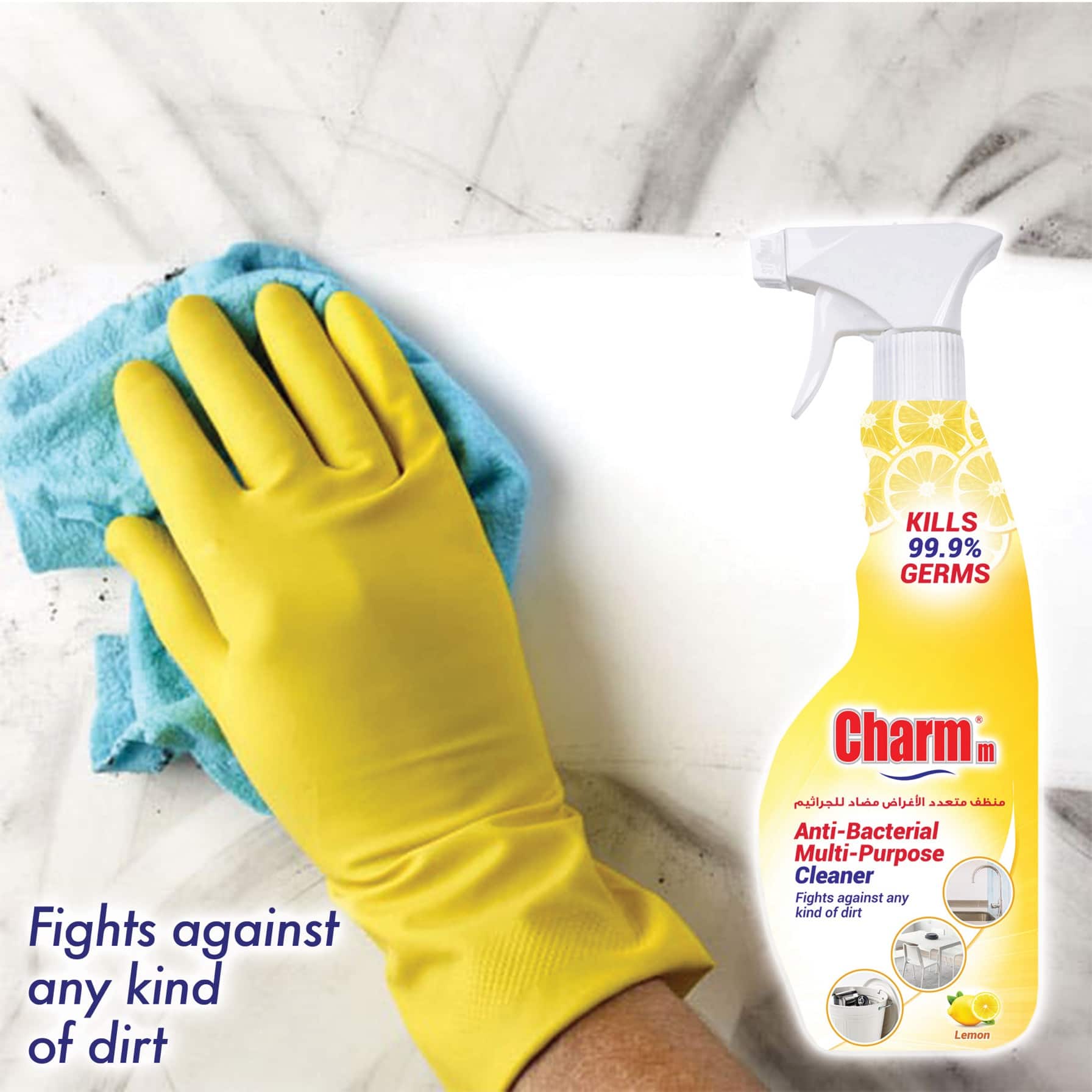 Charmm Anti-bacterial Multi-Purpose Cleaner Spray Pack (650 ml) 