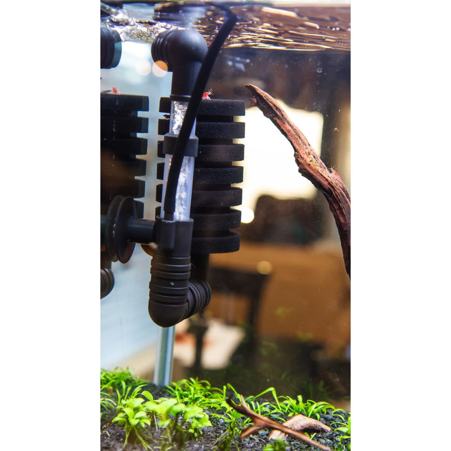 Ista Bio Sponge Filter (Small)