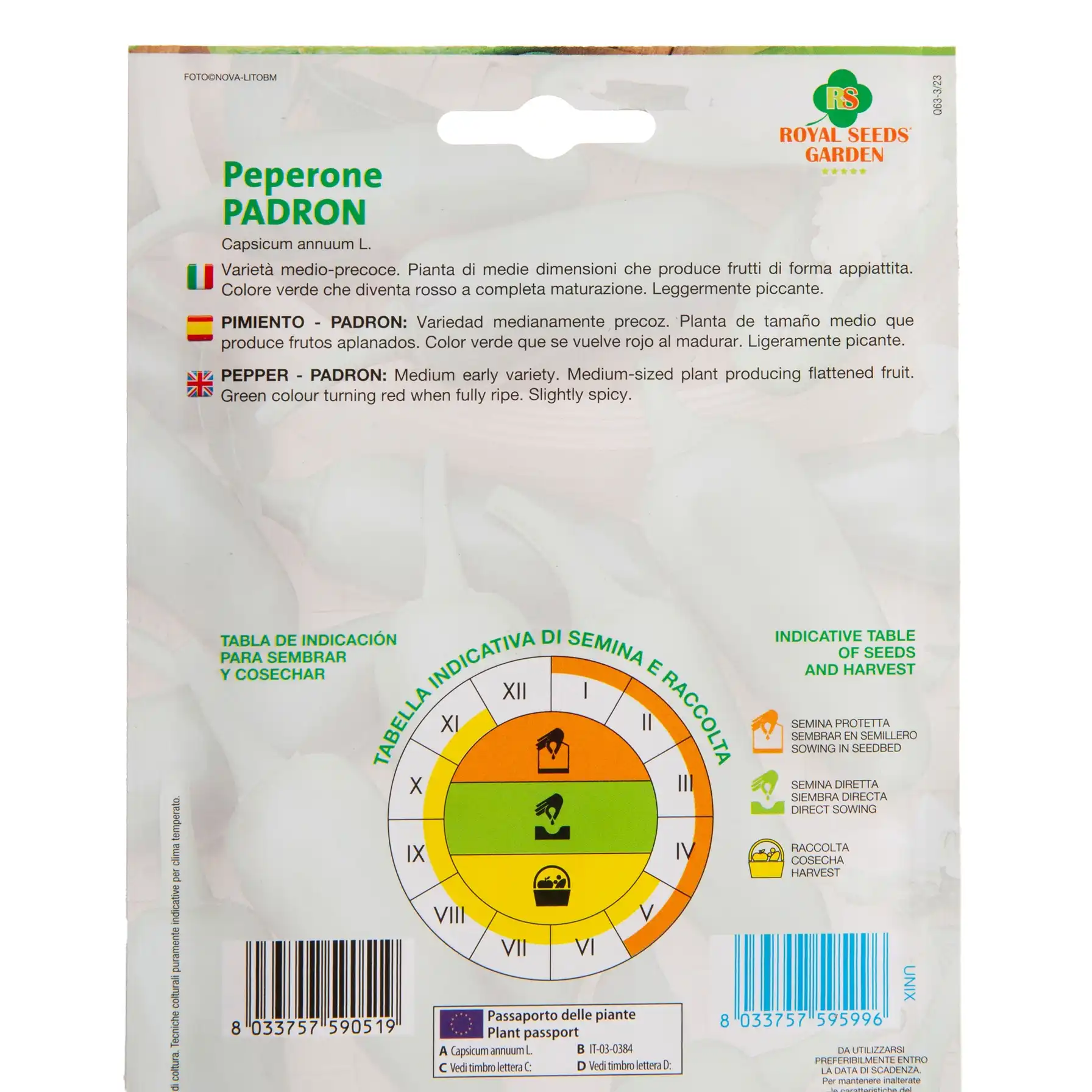 Royal Seeds Padron Pepper Seeds
