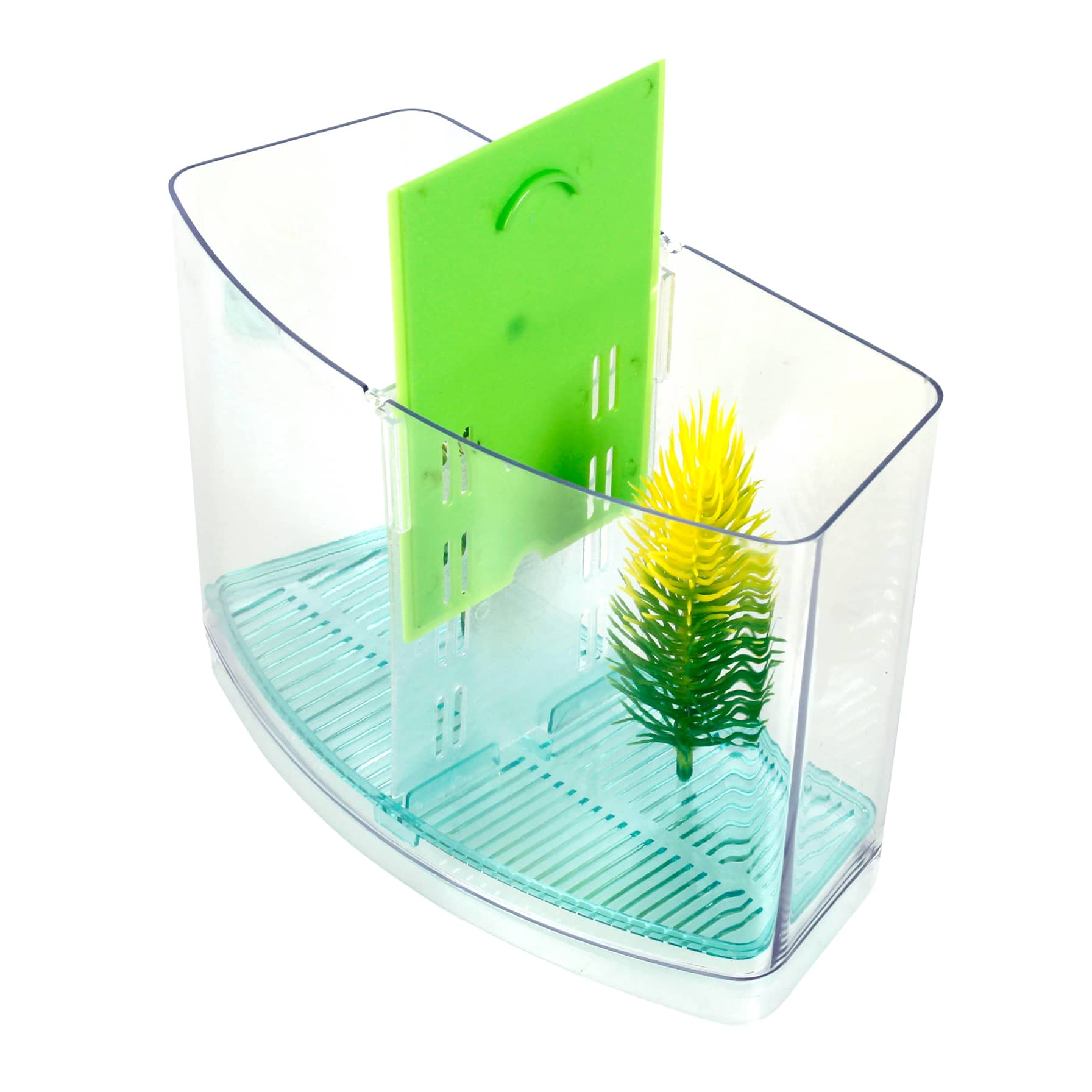 Chicos Betta Case 