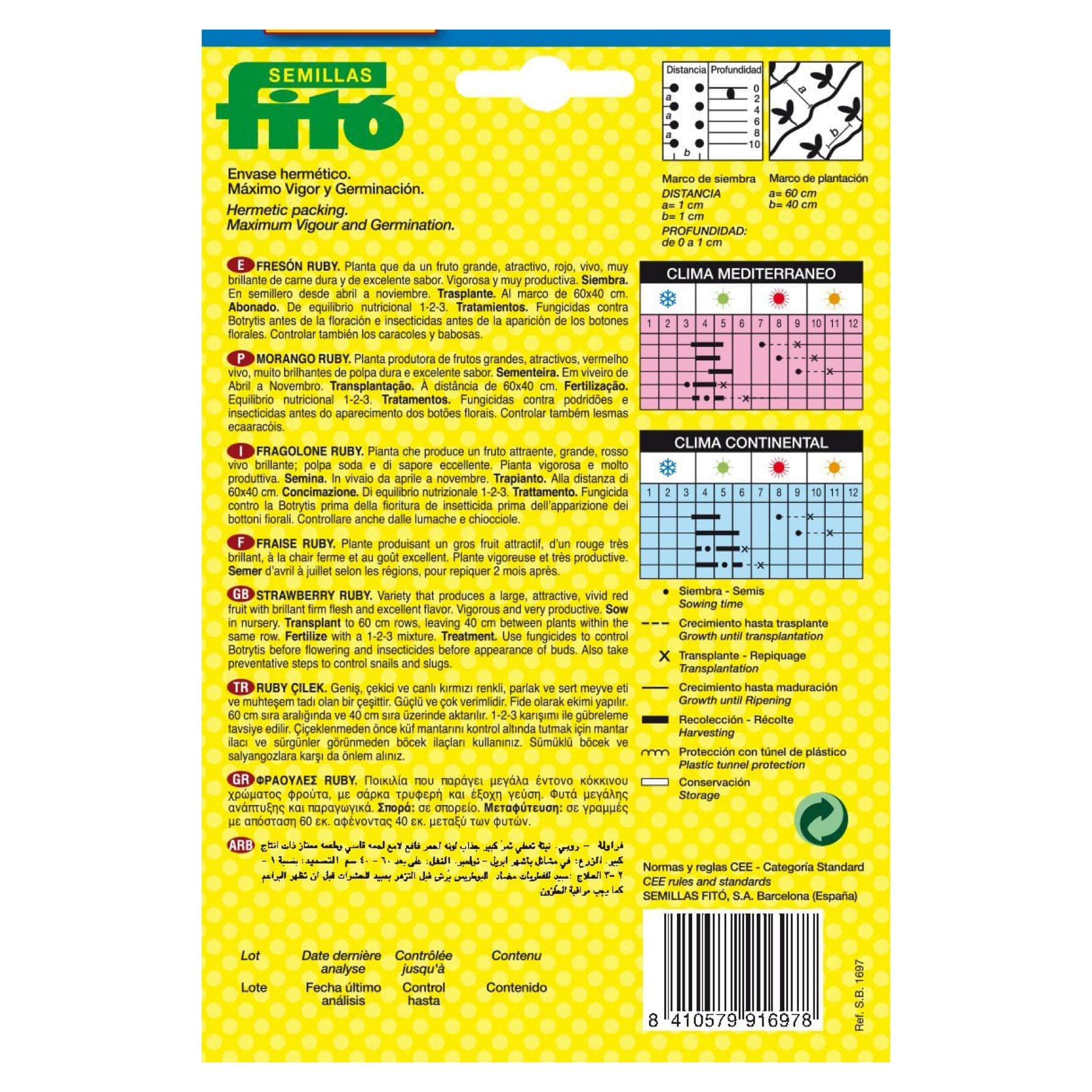 Fito Alexandria Strawberry Seeds (110 mg)