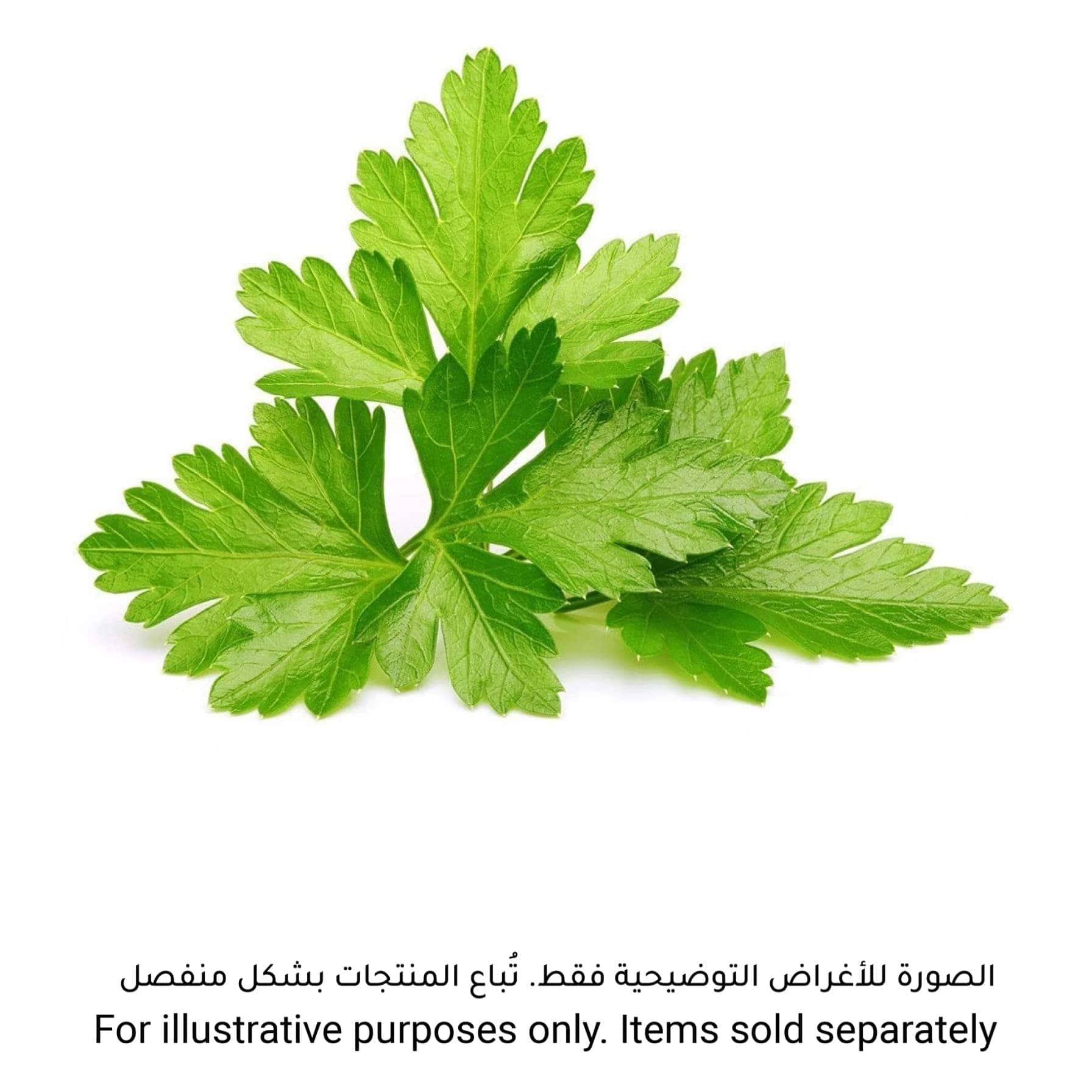 Click & Grow Coriander Plant Pod (20.5 x 8.3 x 6.8 cm)