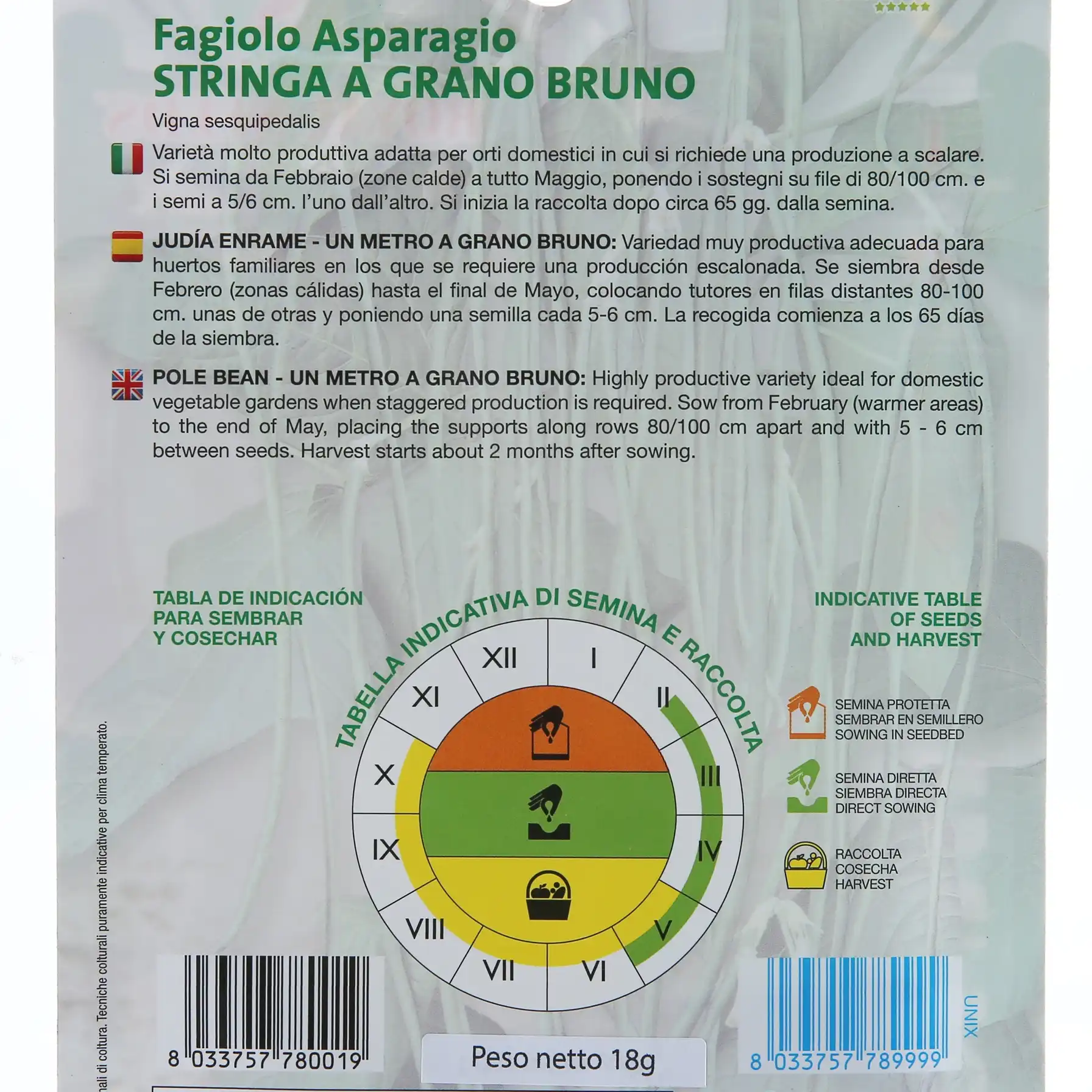 Royal Seeds Asparagus Beans Seed Pack (18 g)