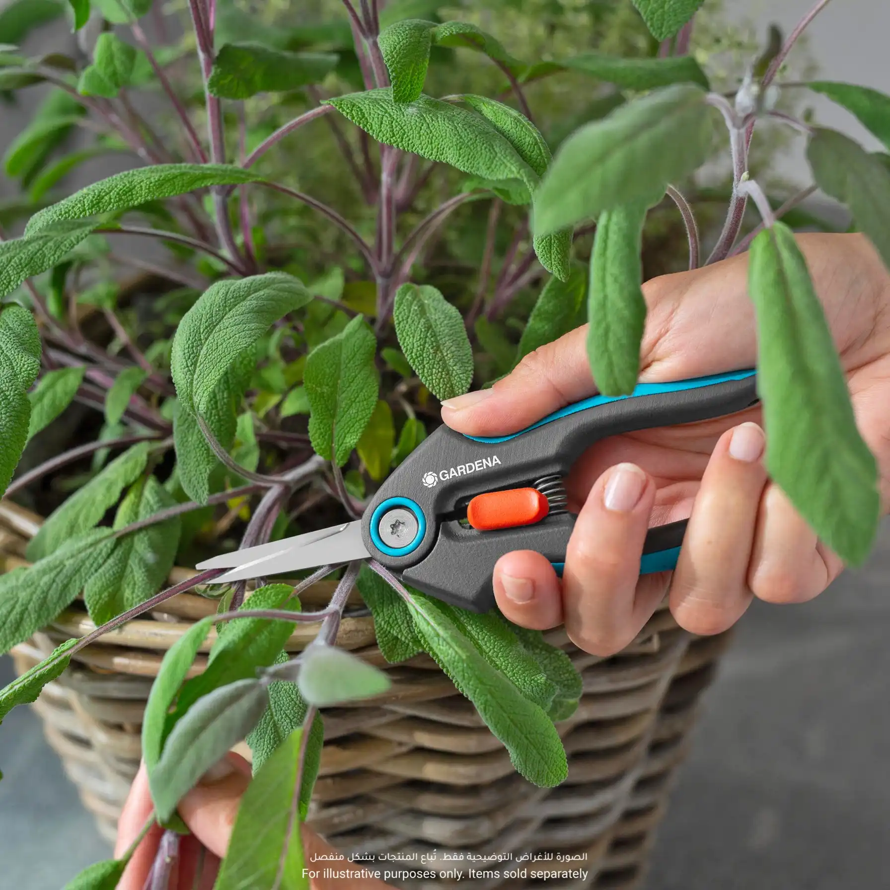 Gardena FreshCut Secateurs