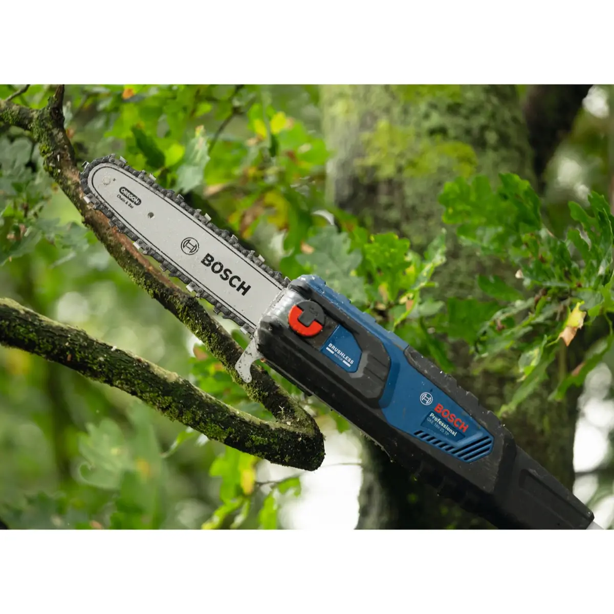 Bosch Professional Cordless Telescopic Pruner, GKE 18V-25 TP (18 V)