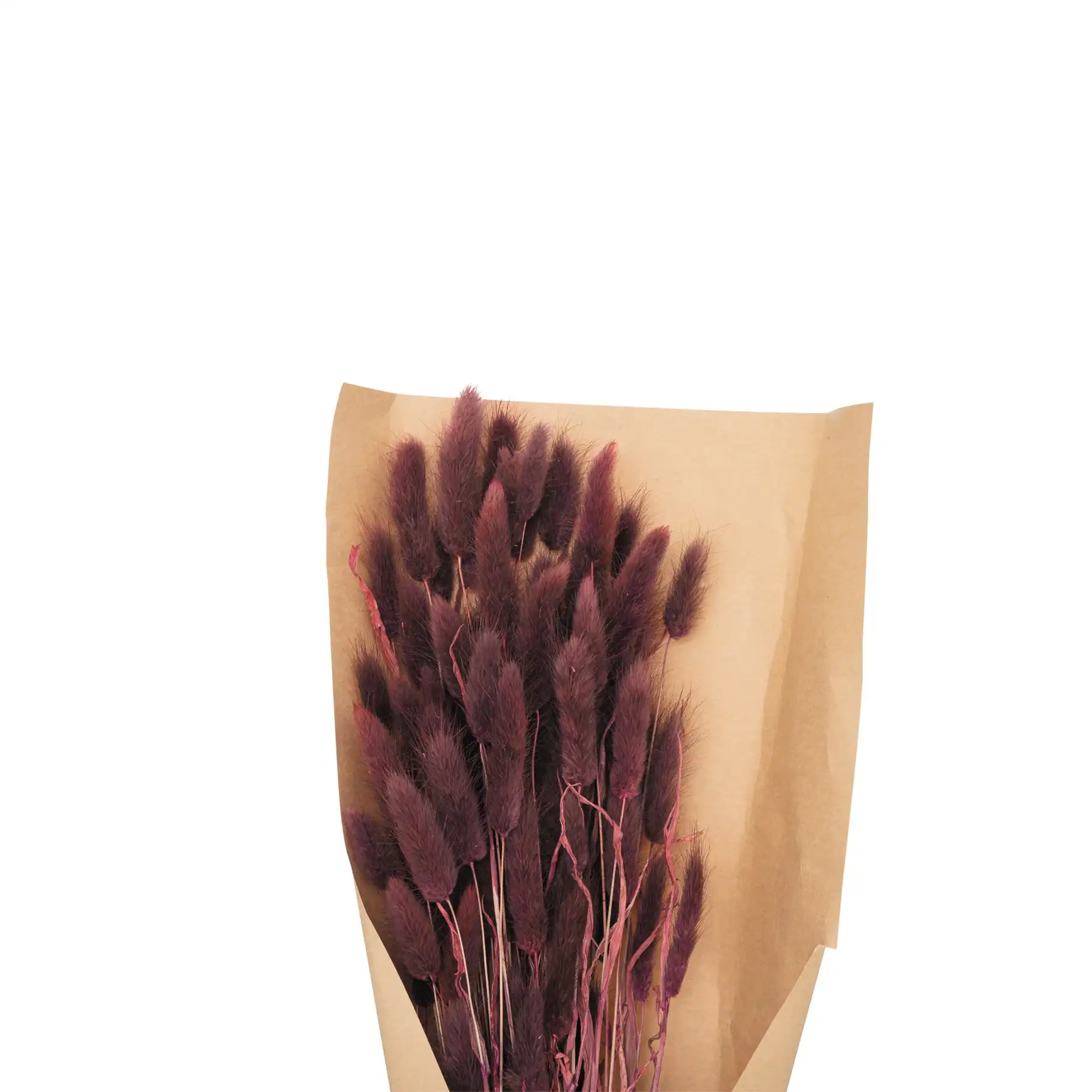 Atmosphera Rabbit Tail Bouquet (18 x 58 cm, Violet)