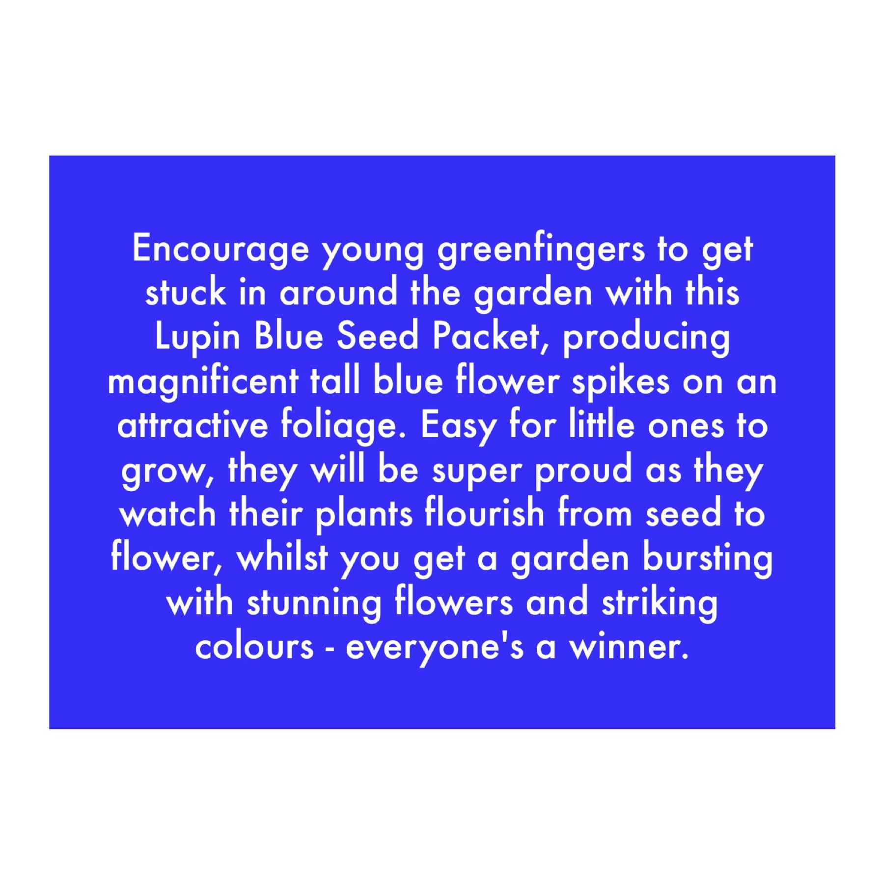 De Ree Lupin Blue Seeds 