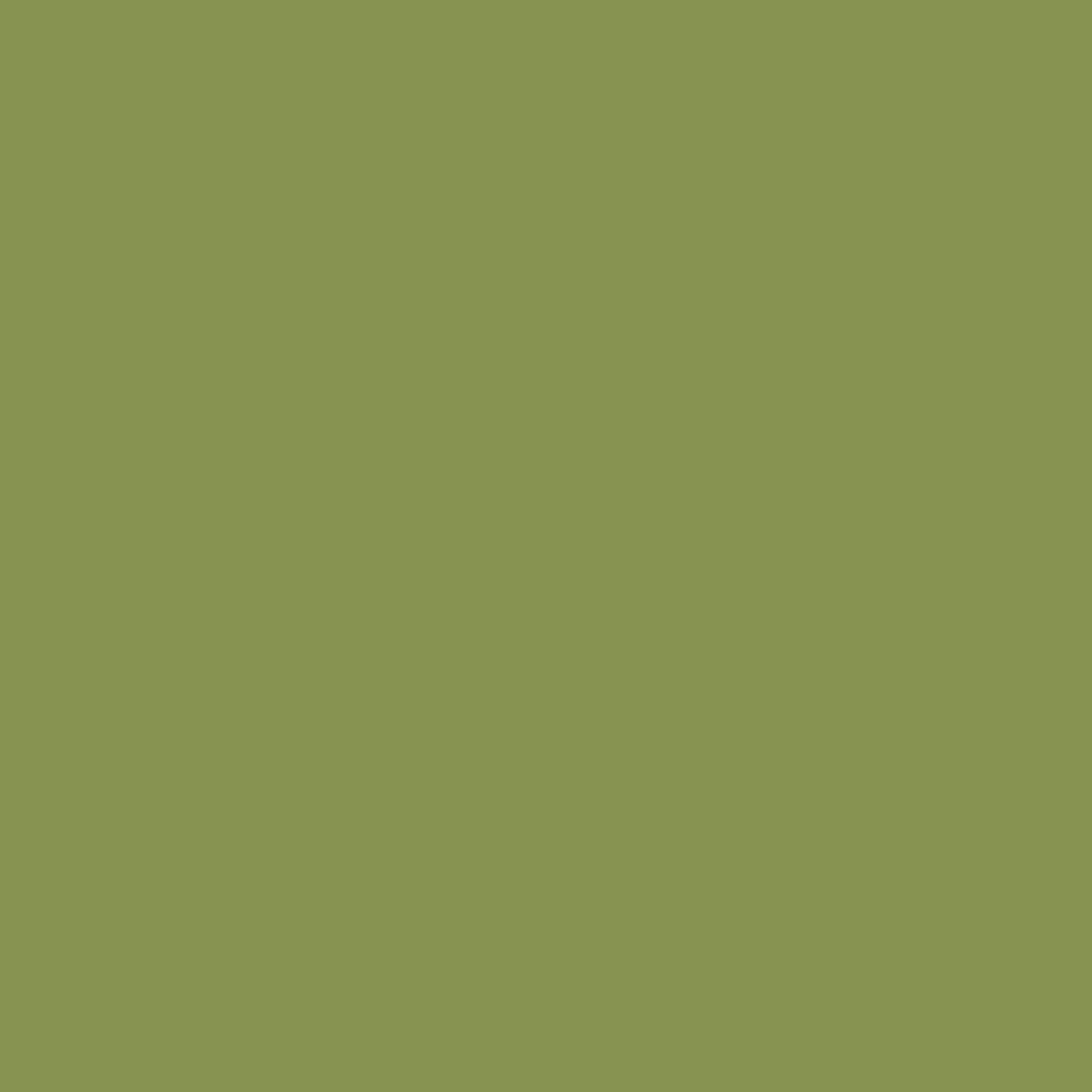 Rustoleum 2X Painter's Touch Ultra Cover Spray (Eden)