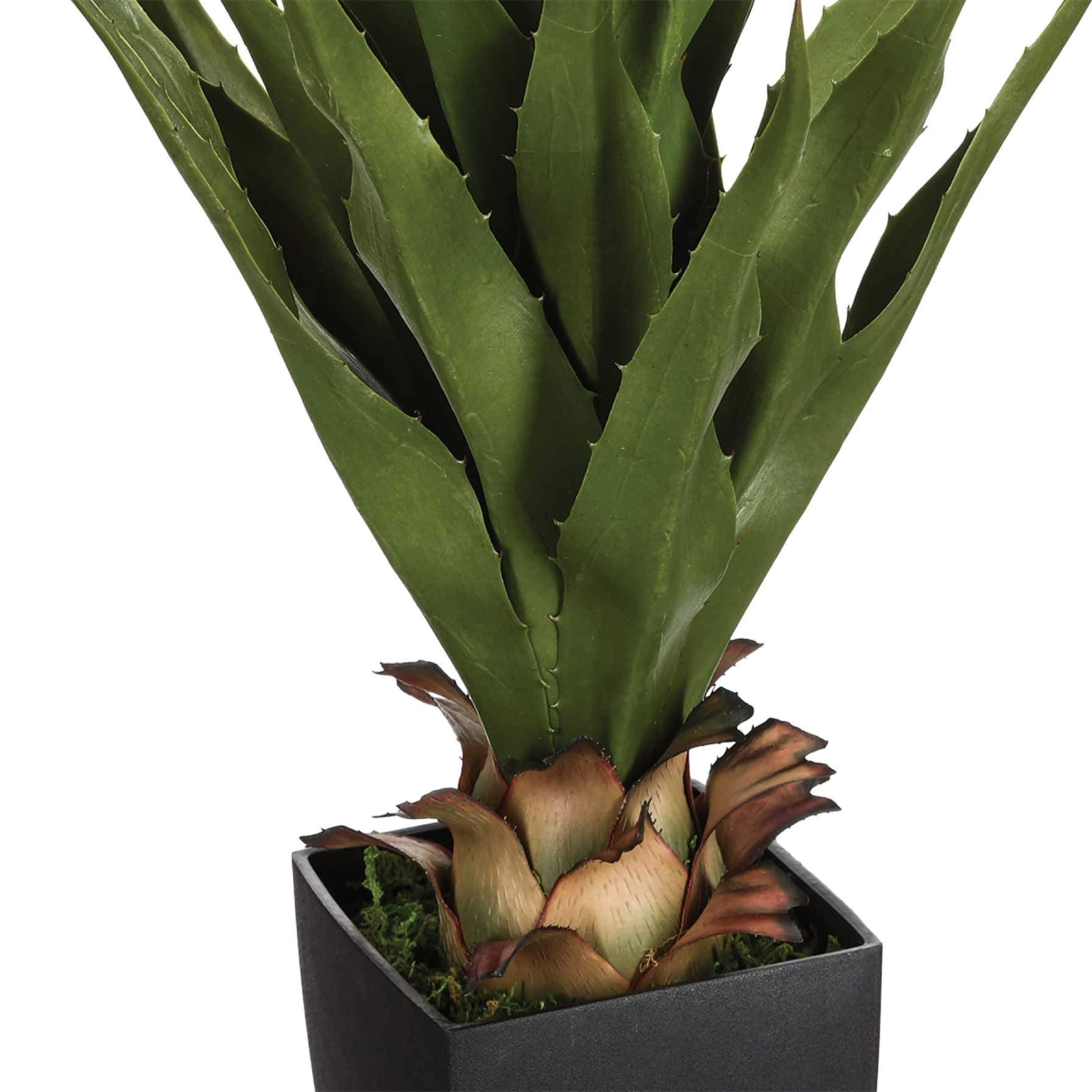 Artificial Agave Plant W/Pot (56 x 54 x 71 cm)