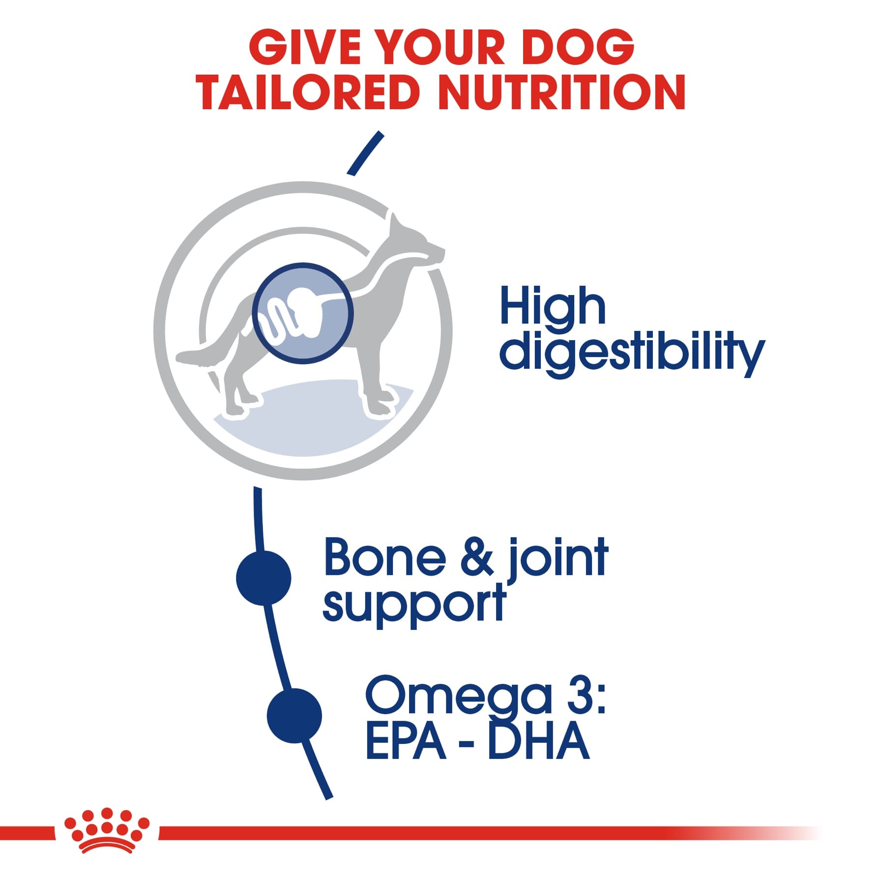 Royal Canin Maxi Adult Health Nutrition Dog Food (15 kg)