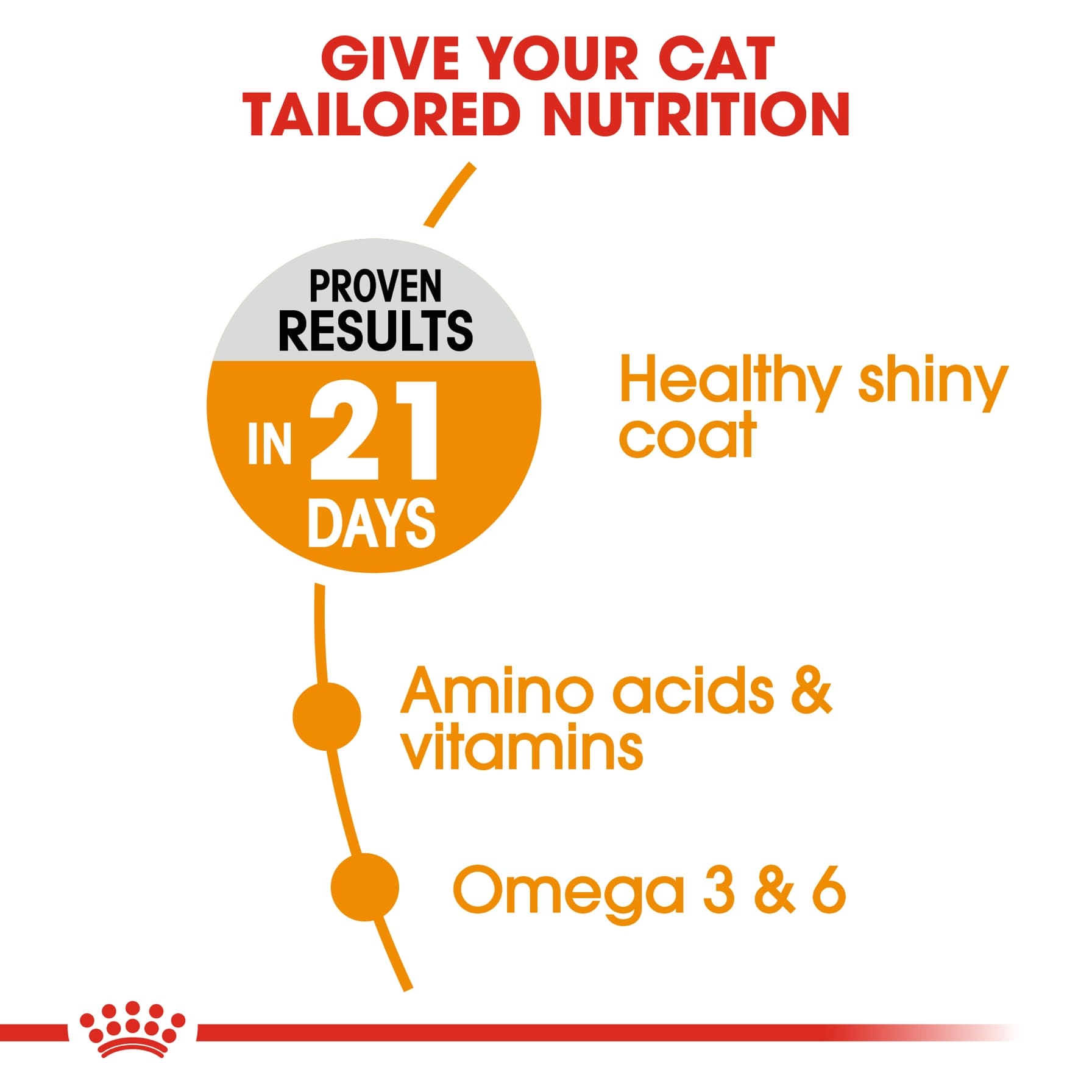 Royal Canin Feline Care Nutrition Hair & Skin Care Cat Food (Adult Cats, 4 kg)