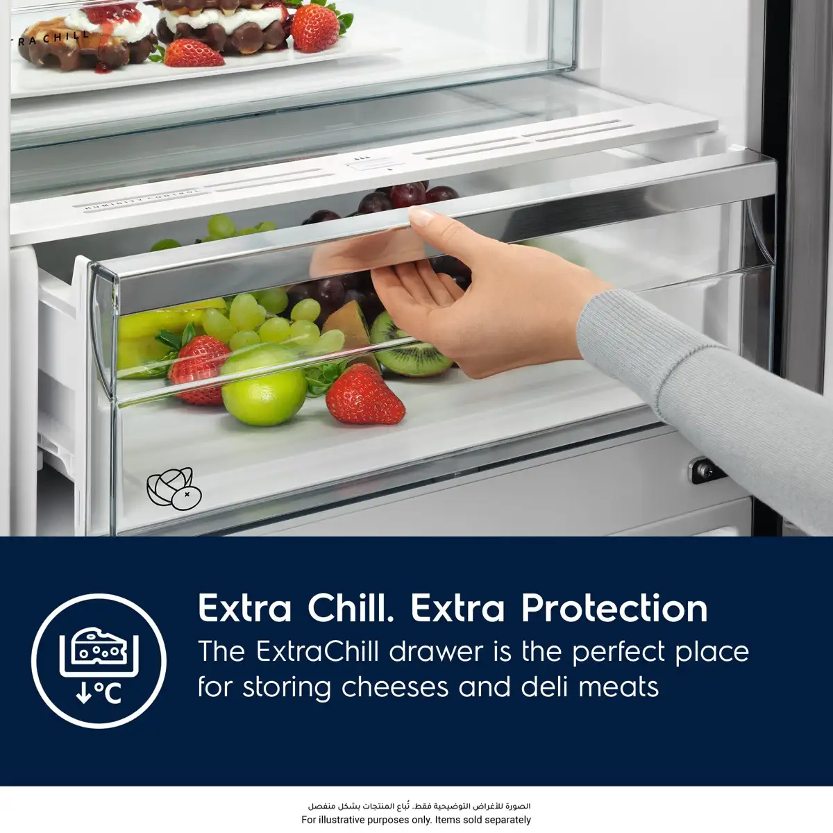 Electrolux 800 Series Built-In Bottom Freezer Refrigerator, ENC8MD18R0 (244 L)