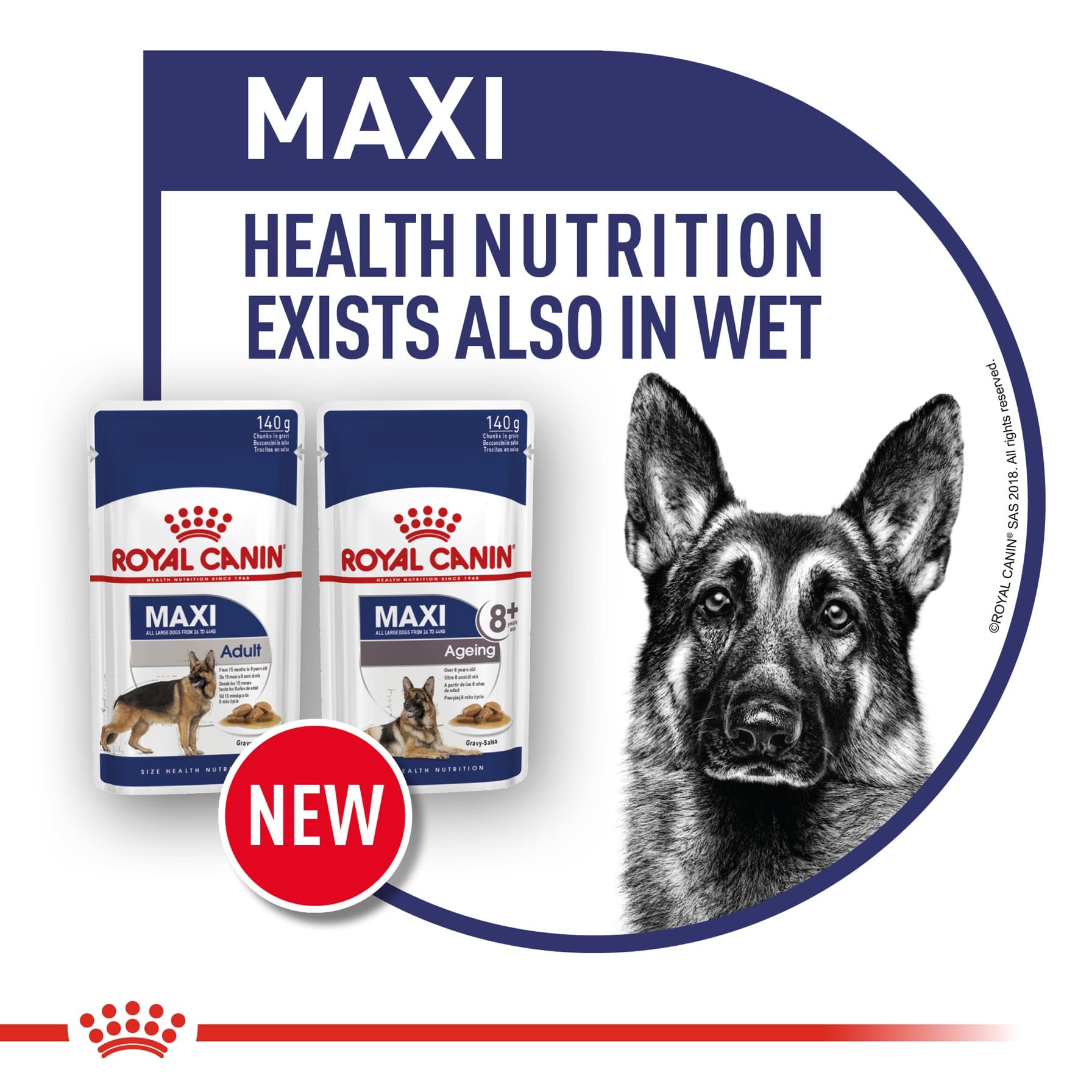 Royal Canin Maxi High Digestibility Adult Dog Food (Large Dog, 10 kg)