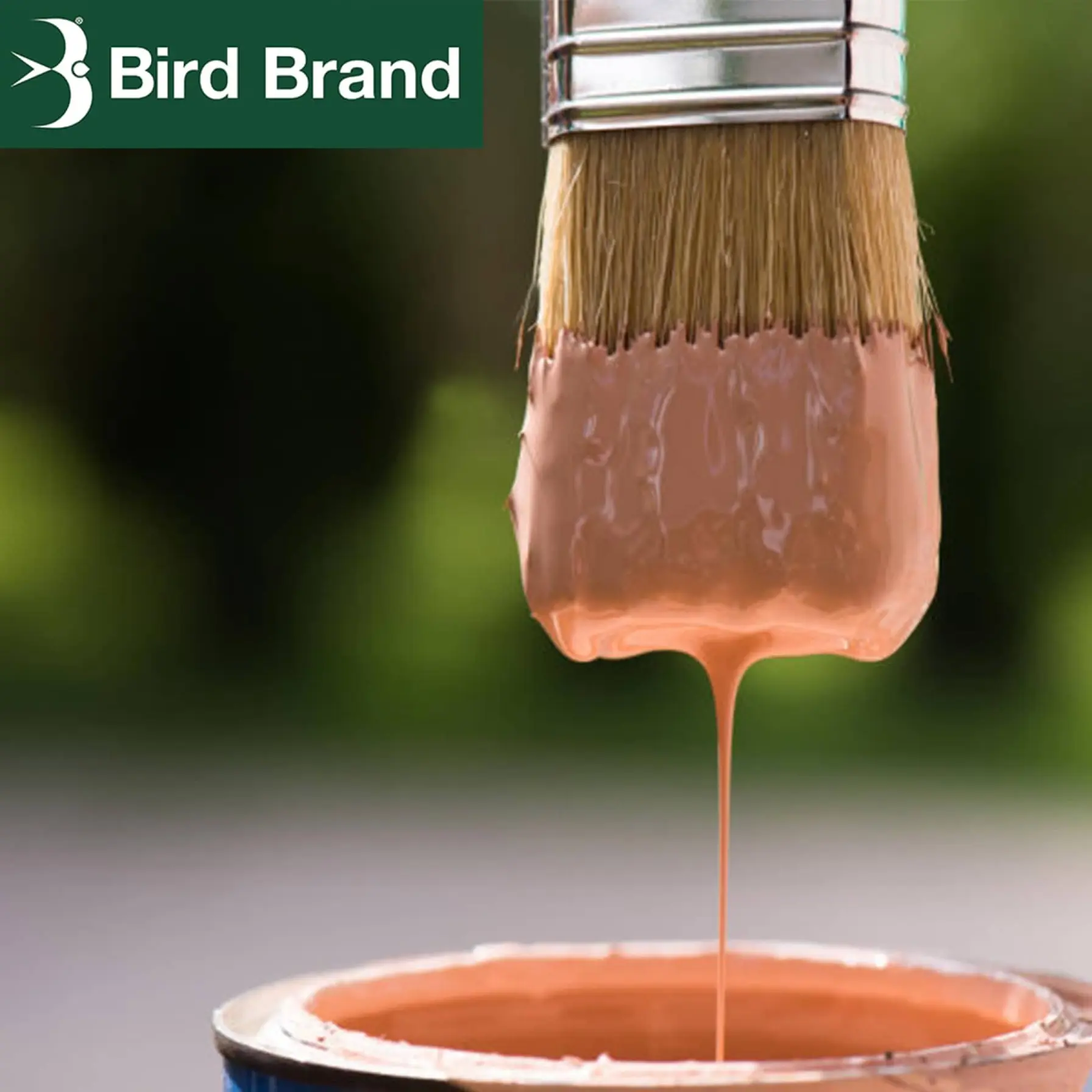 Bird Brand Premium Low Odor White Spirit (750 ml)