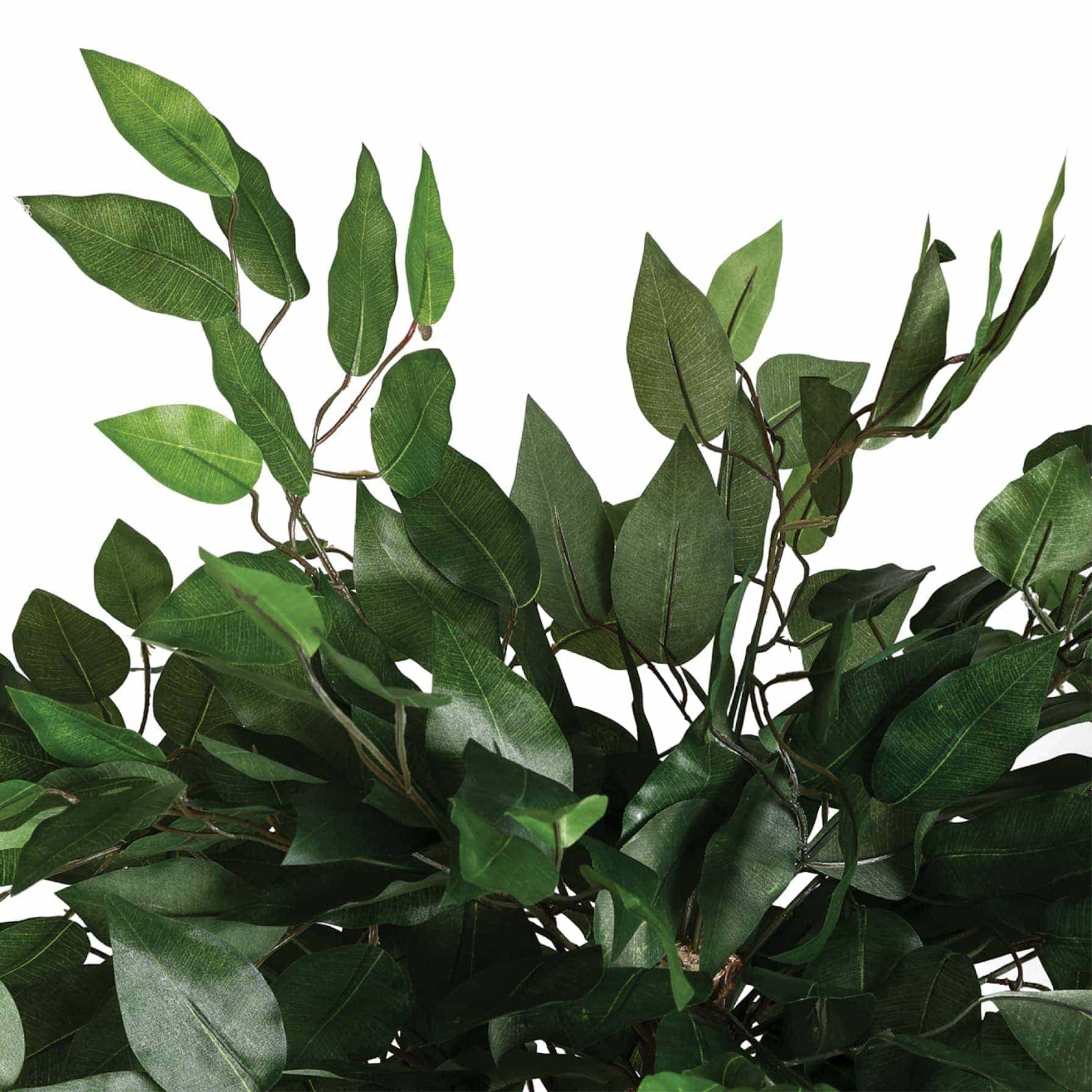 Atmosphera Ficus Artificial Plant W/Pot (77 x 77 x 130 cm) 
