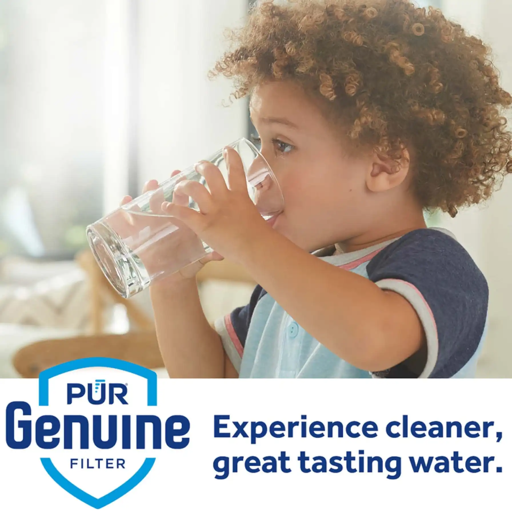 Pur Maxion Faucet Replacement Water Filter (2 Pc.)