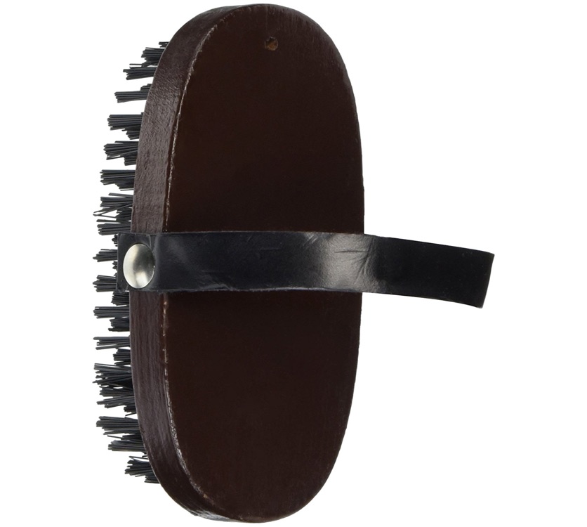 Aloe Care Glossing Pet Brush (Small)