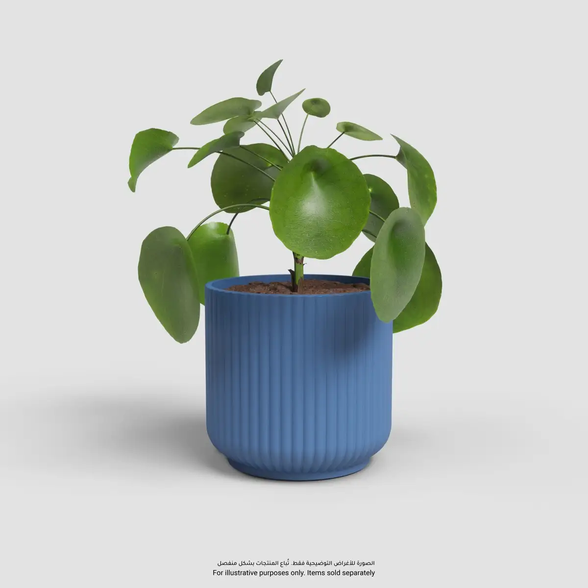 Artevasi Luna Plant Pot (Blue, 19 cm)