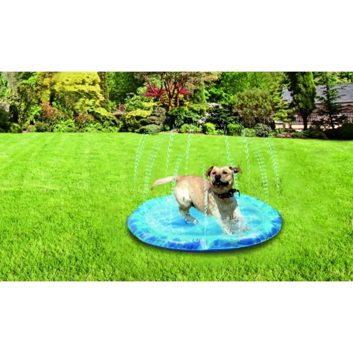 All For Paws Chill Out Sprinkler Fun Mat (130 cm)
