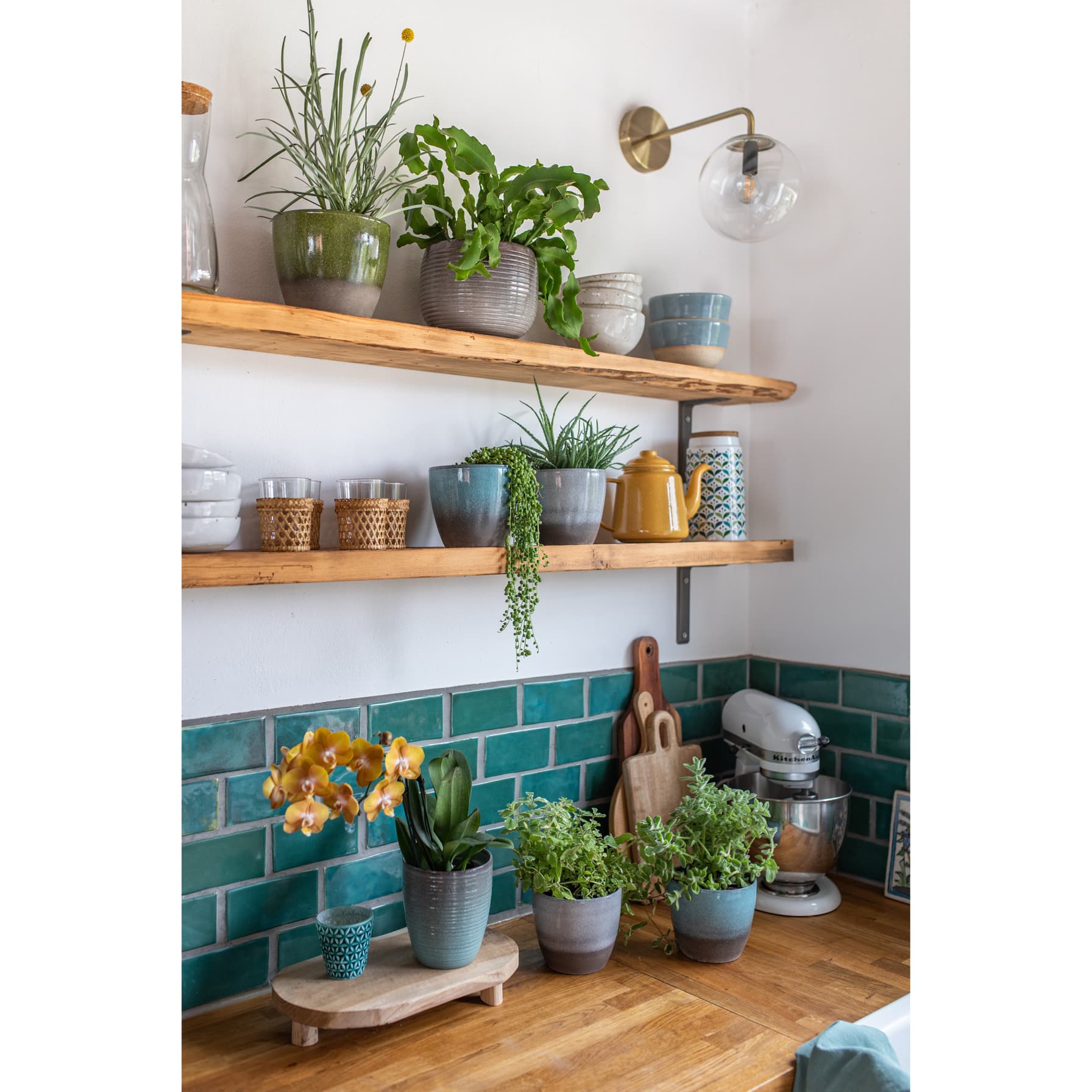 Scheurich Ceramic Plant Cover Pot (19 cm)