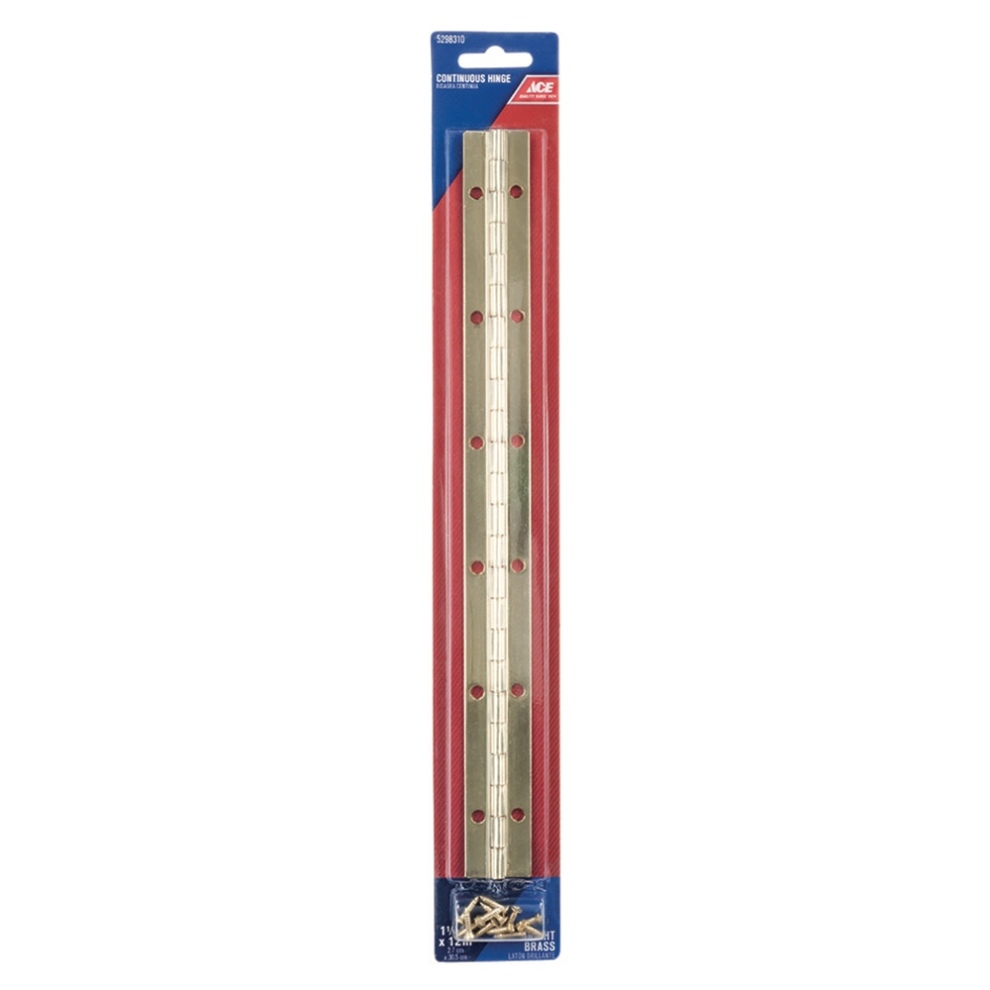 Ace Steel Continuous Hinge (3 x 30 cm)