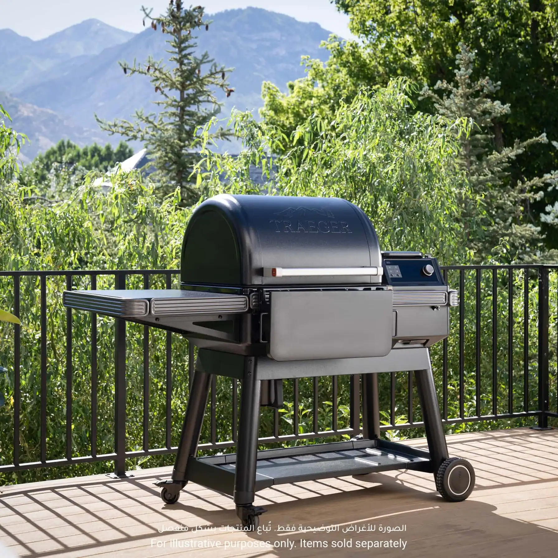 Traeger Ironwood 616 Wood Pellet Grill, TFB61RLGG