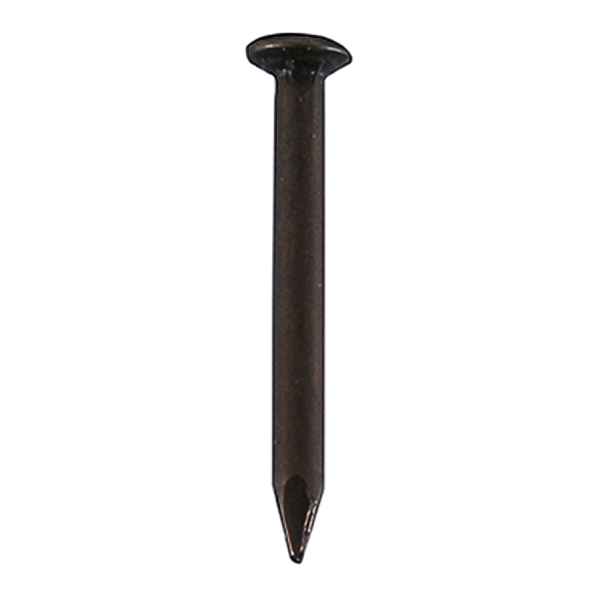 Mkats Holland Steel Nails (1.9 cm, Box of 100)