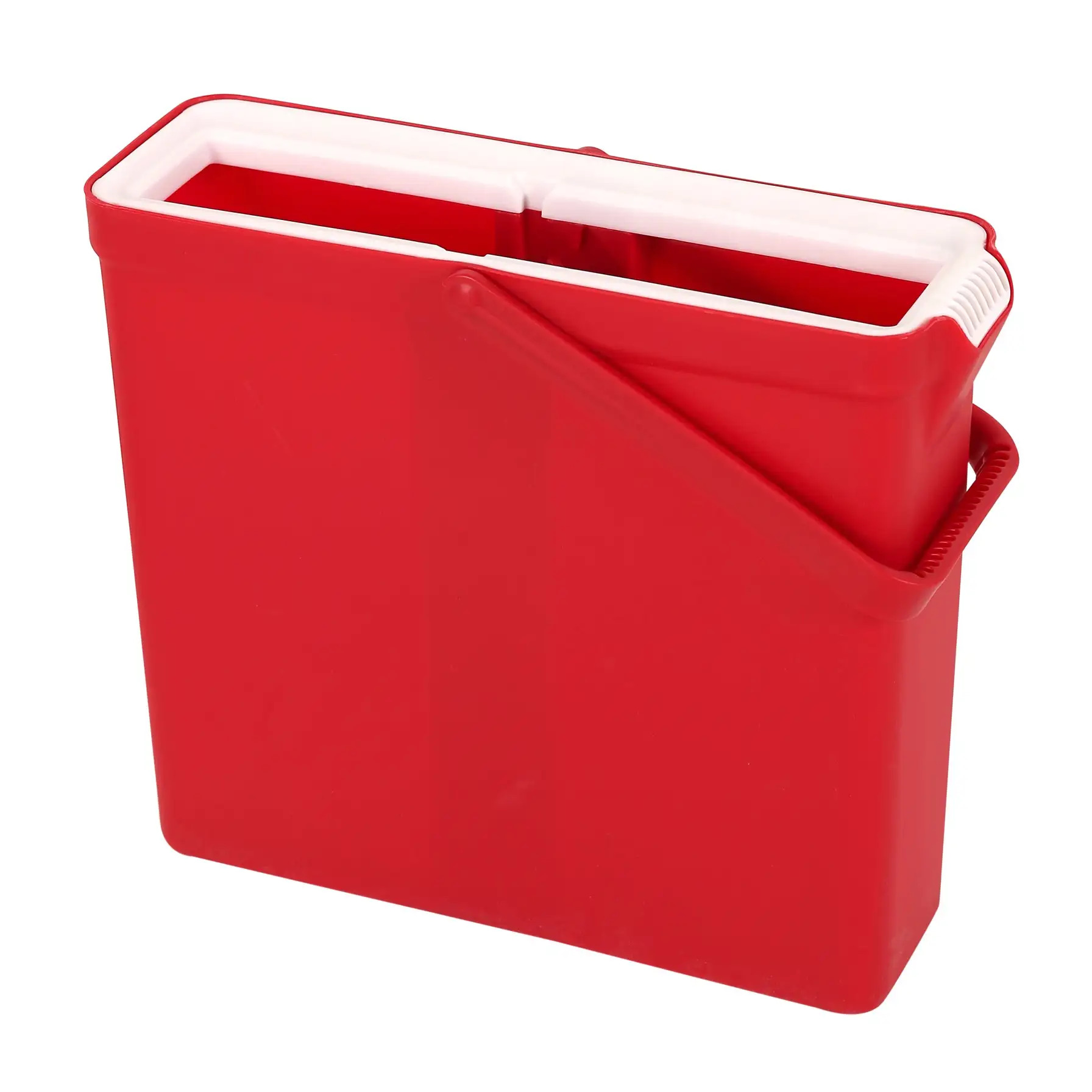 ACE Sponge Mop & Bucket (4 L)