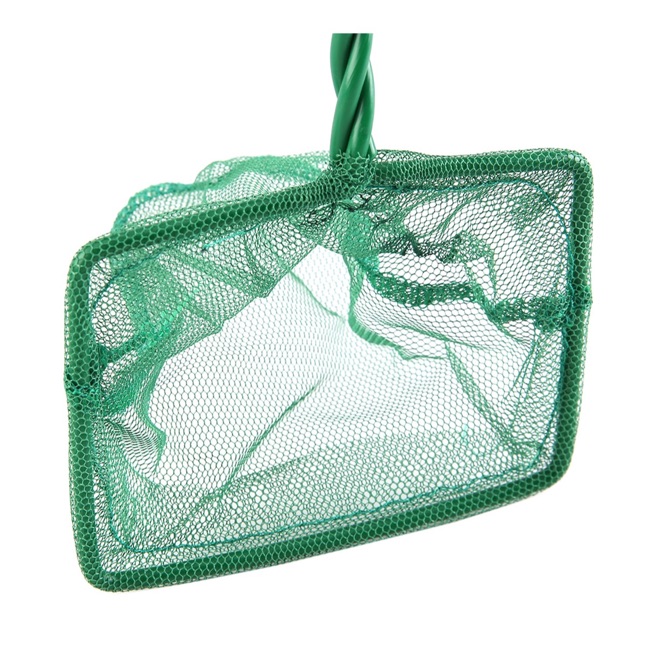 Liya Fish Net (10.2 cm)