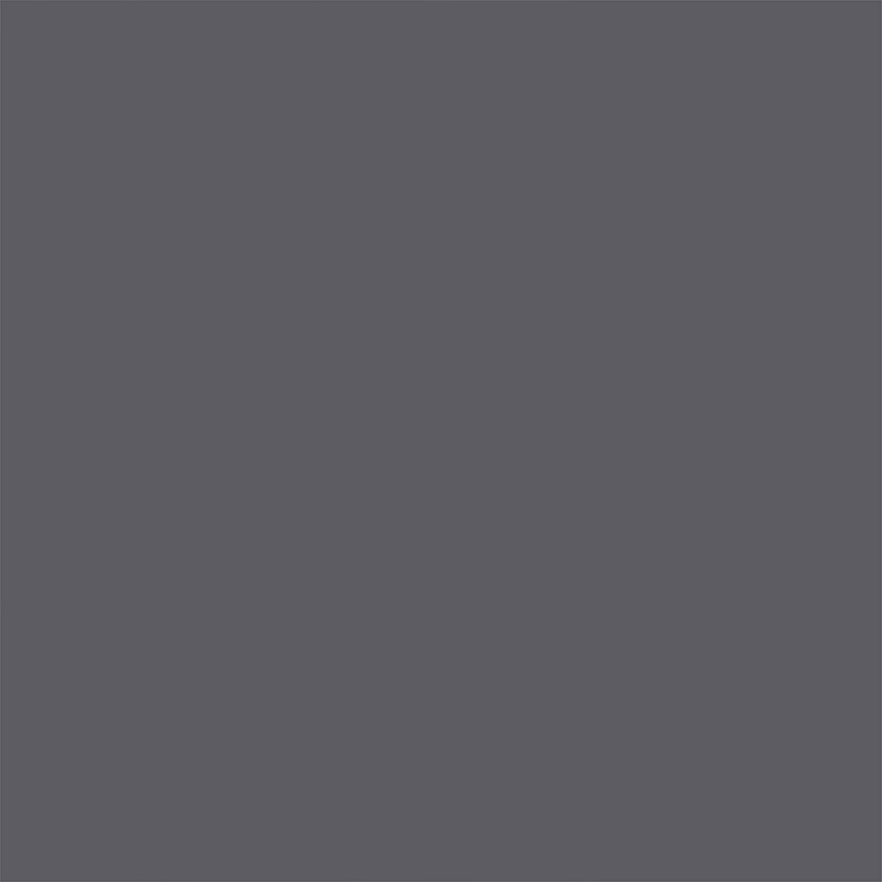 Rustoleum Painter's Touch Ultra Cover 2X Spray Paint (354.9 ml, Gloss Dark Gray)